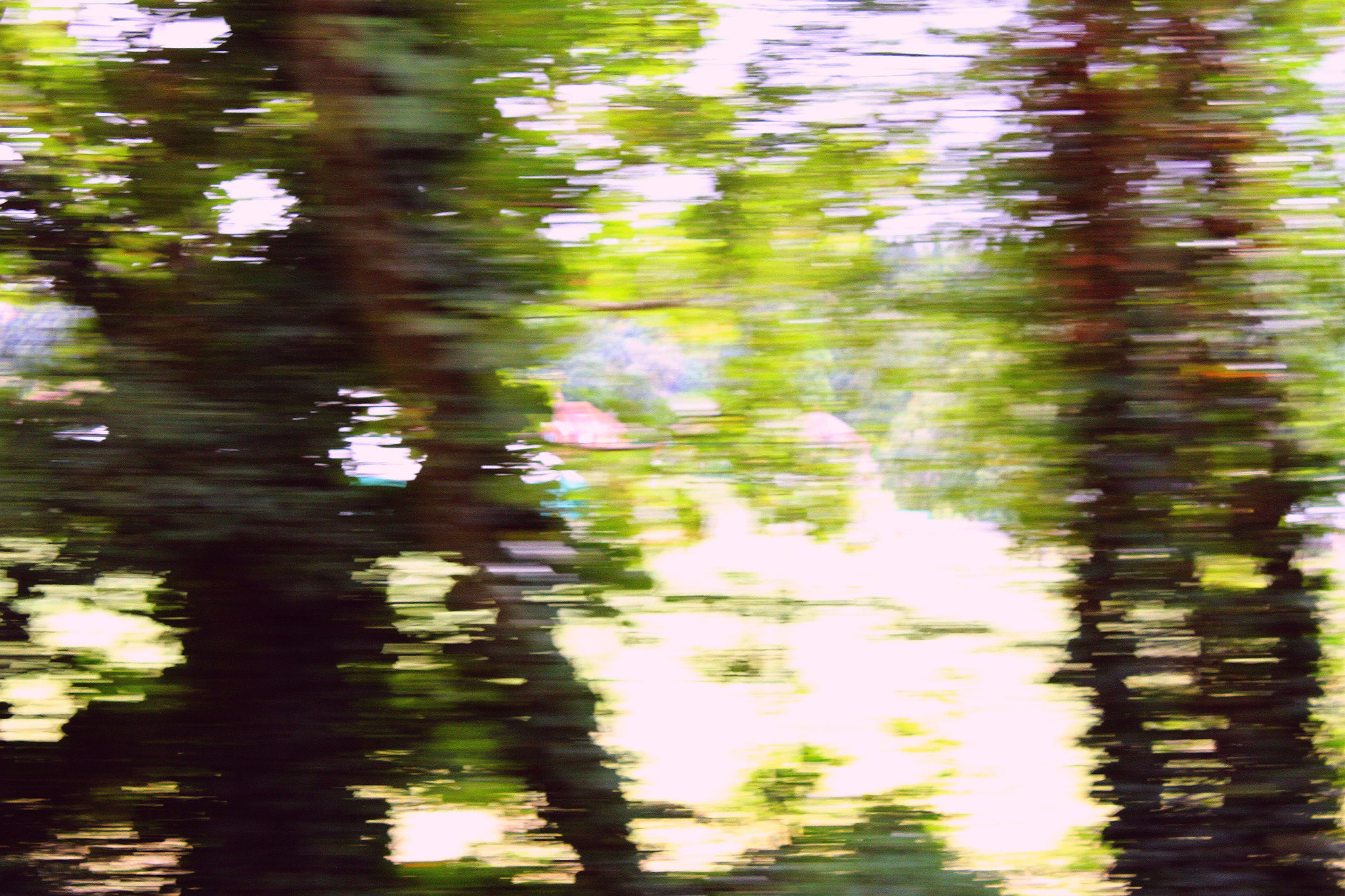 Canon EF-S 18-55mm F3.5-5.6 III sample photo. At speed photography
