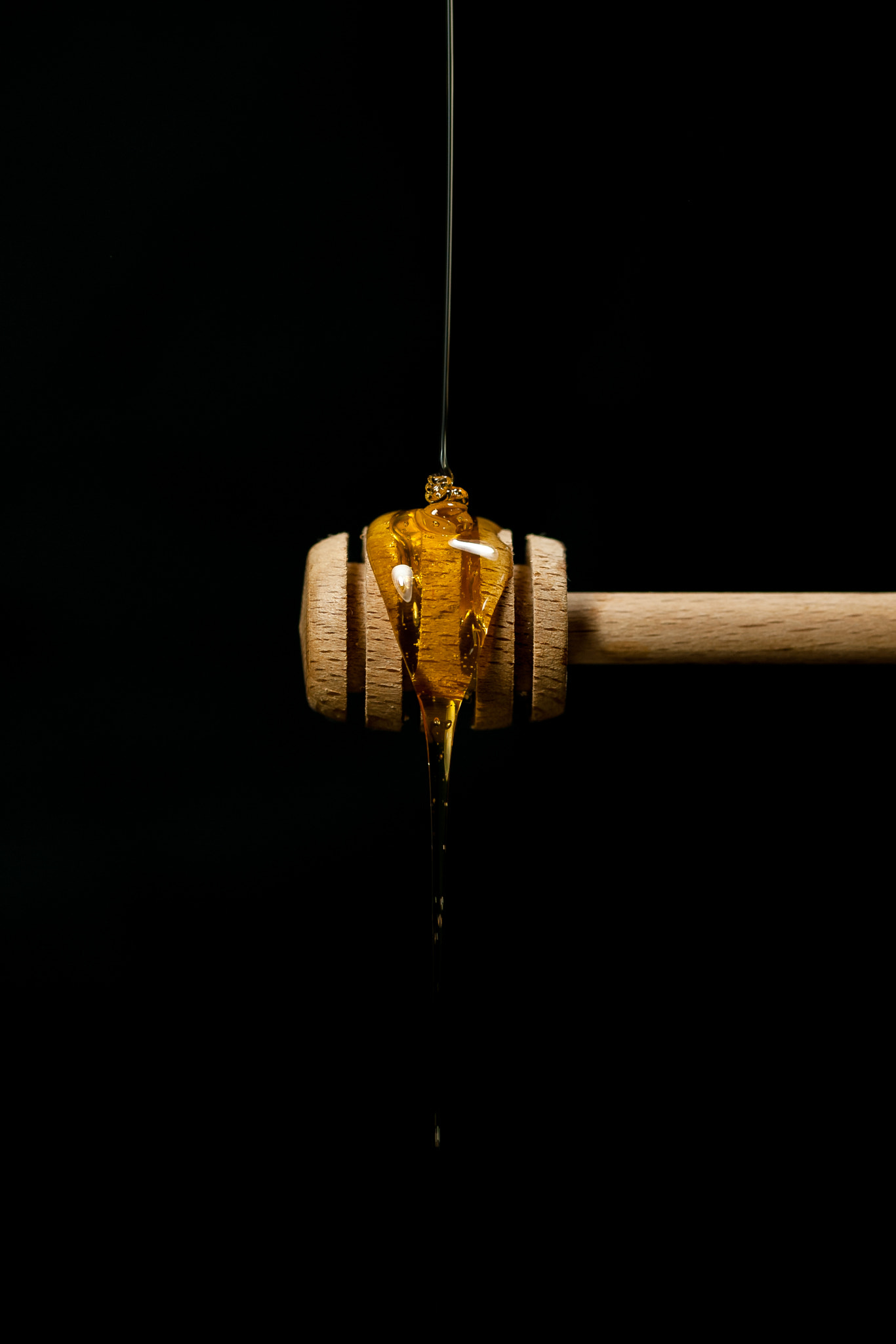 Sigma 105mm F2.8 EX DG OS HSM sample photo. Miel pops photography
