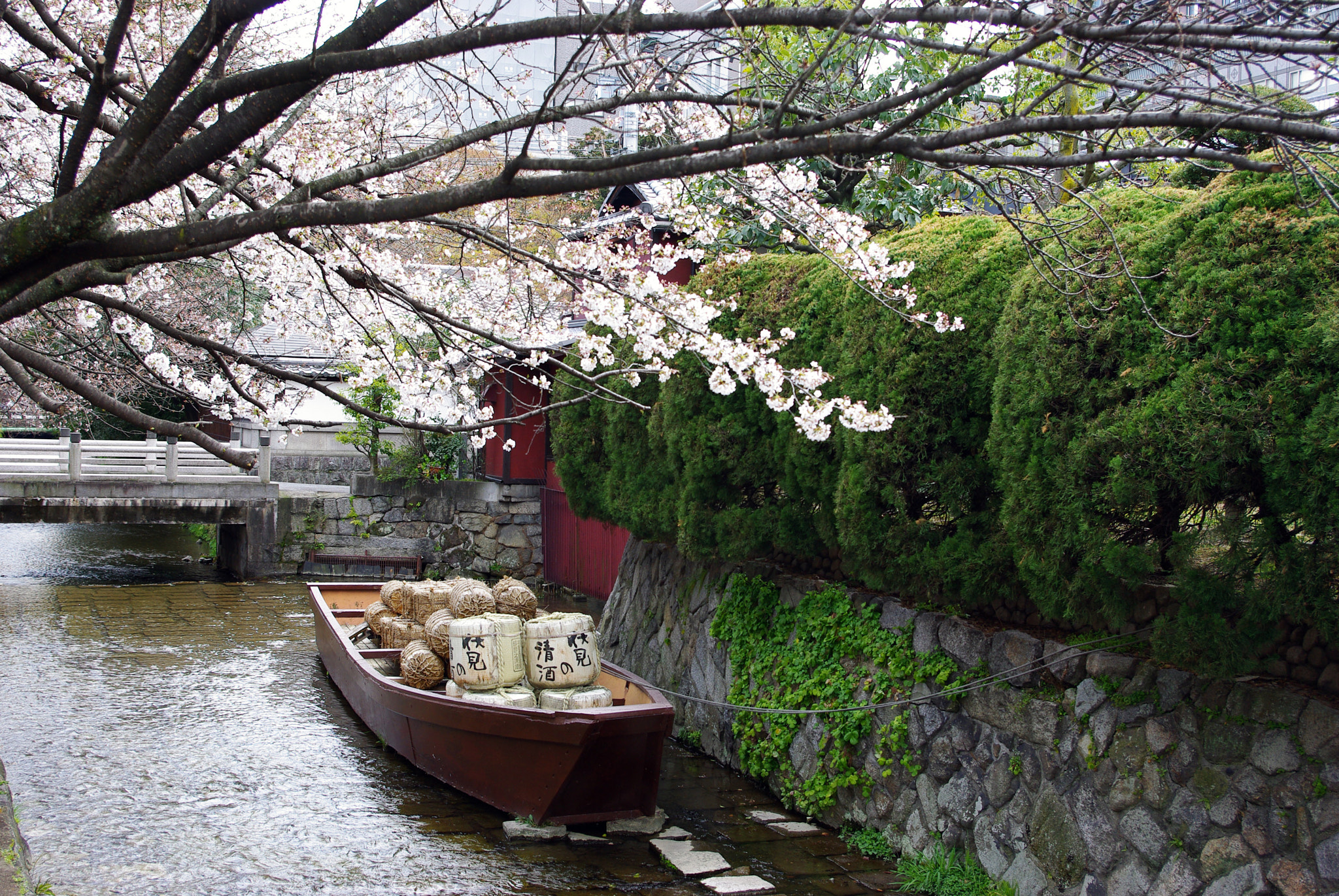 Pentax K-m (K2000) sample photo. Copie photography