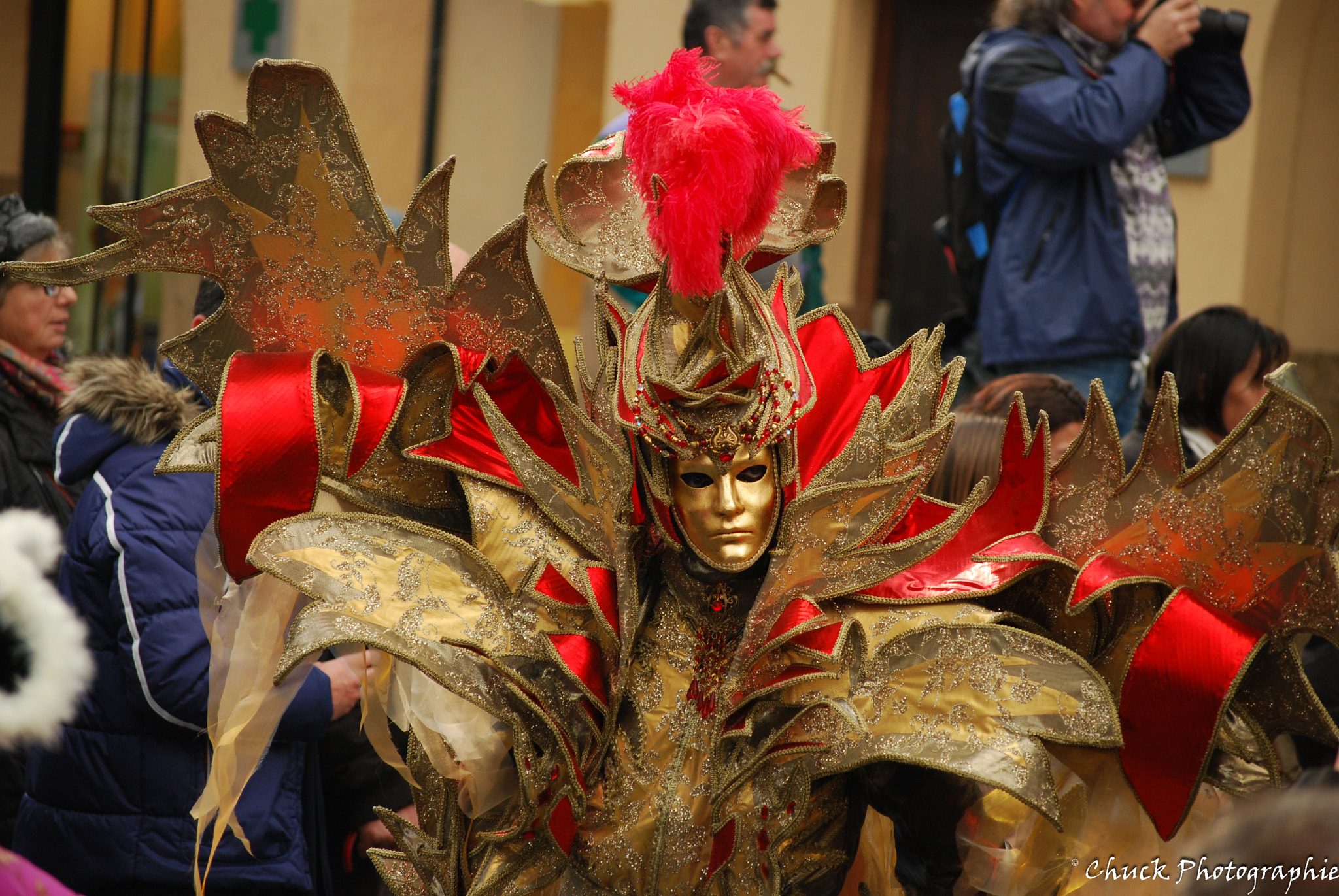 Nikon D40X sample photo. Carnaval castres photography