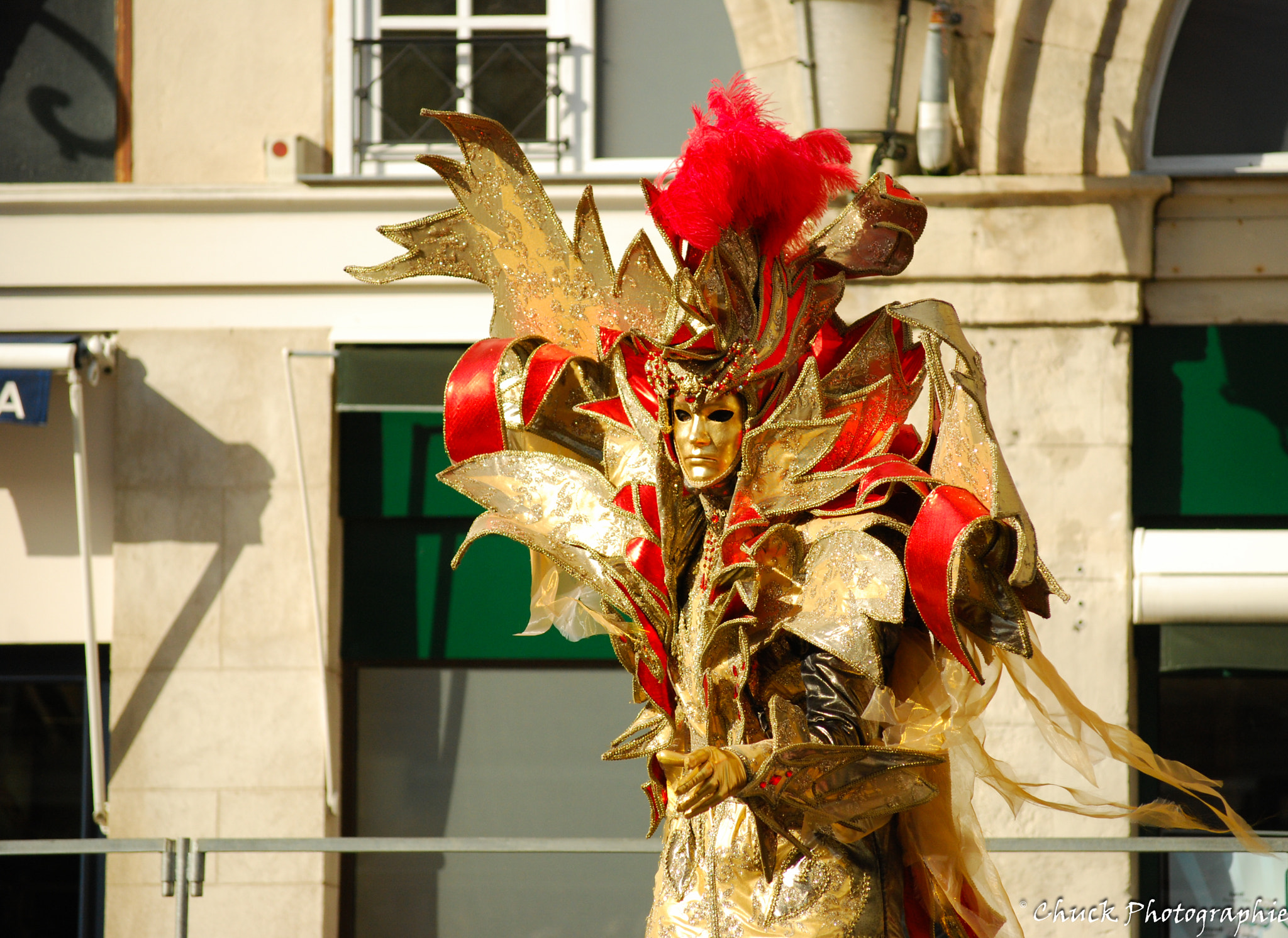 Nikon D40X sample photo. Carnaval castres photography