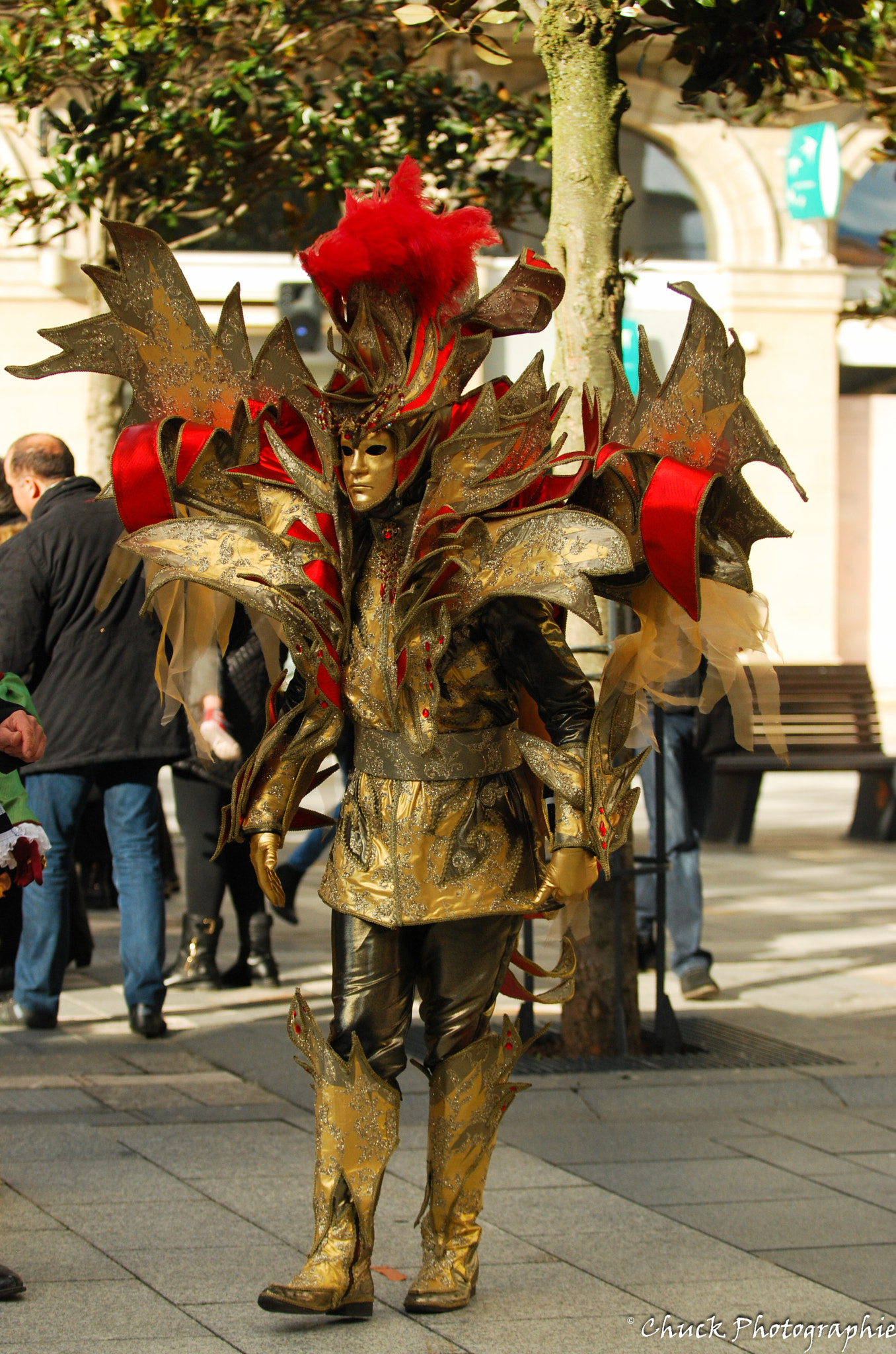 Nikon D40X sample photo. Carnaval castres photography