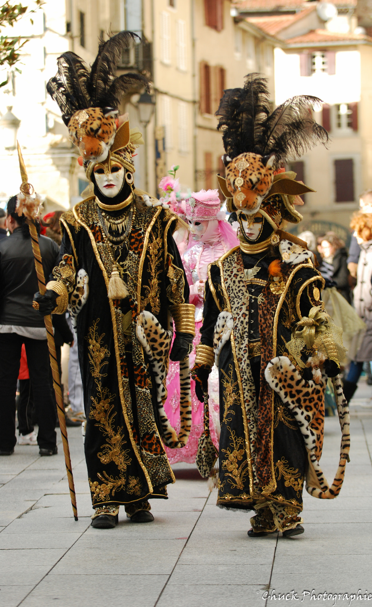Nikon D40X sample photo. Carnaval castres photography