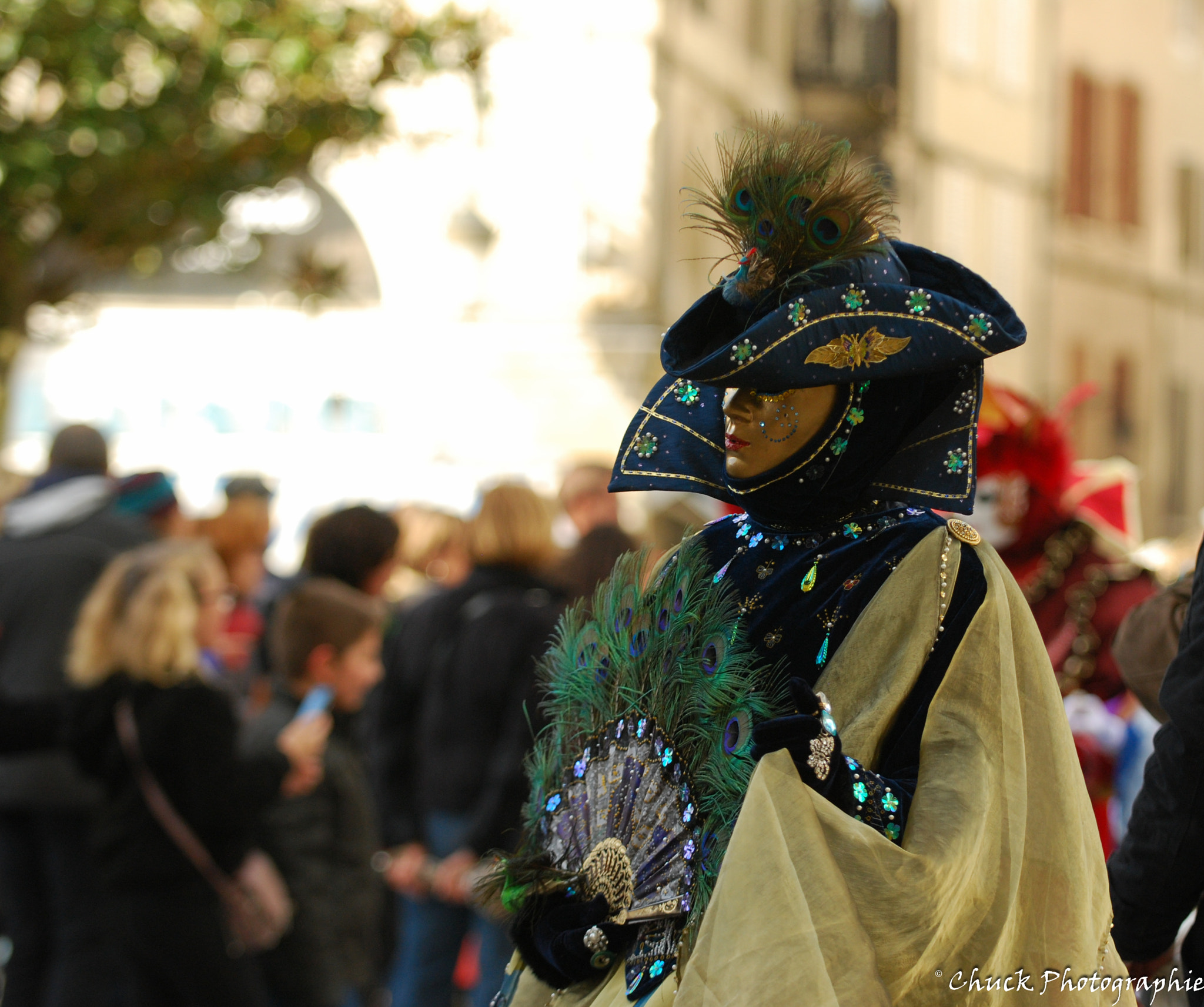 Nikon D40X sample photo. Carnaval castres photography