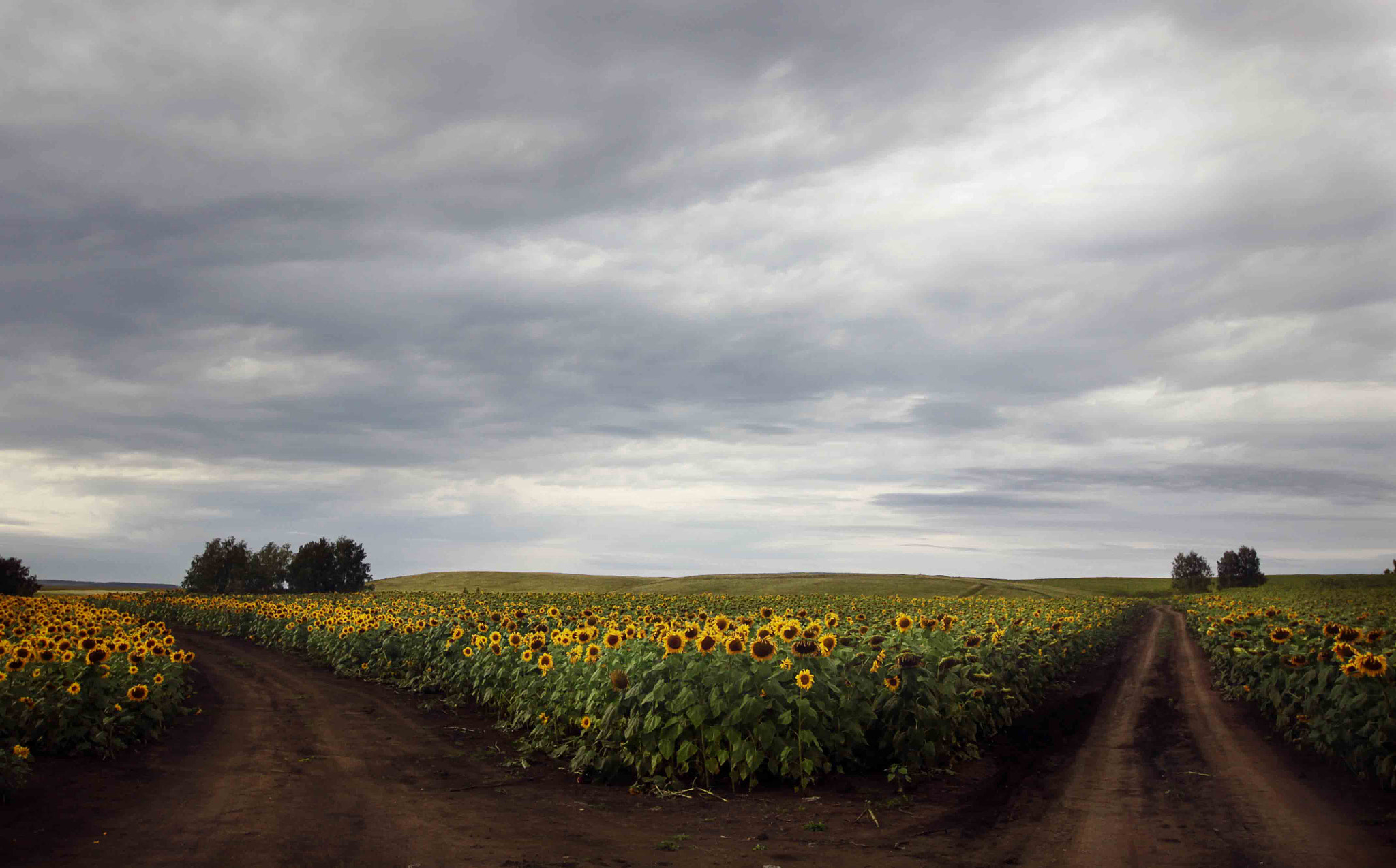 Sigma 12-24mm F4.5-5.6 II DG HSM sample photo. Img photography