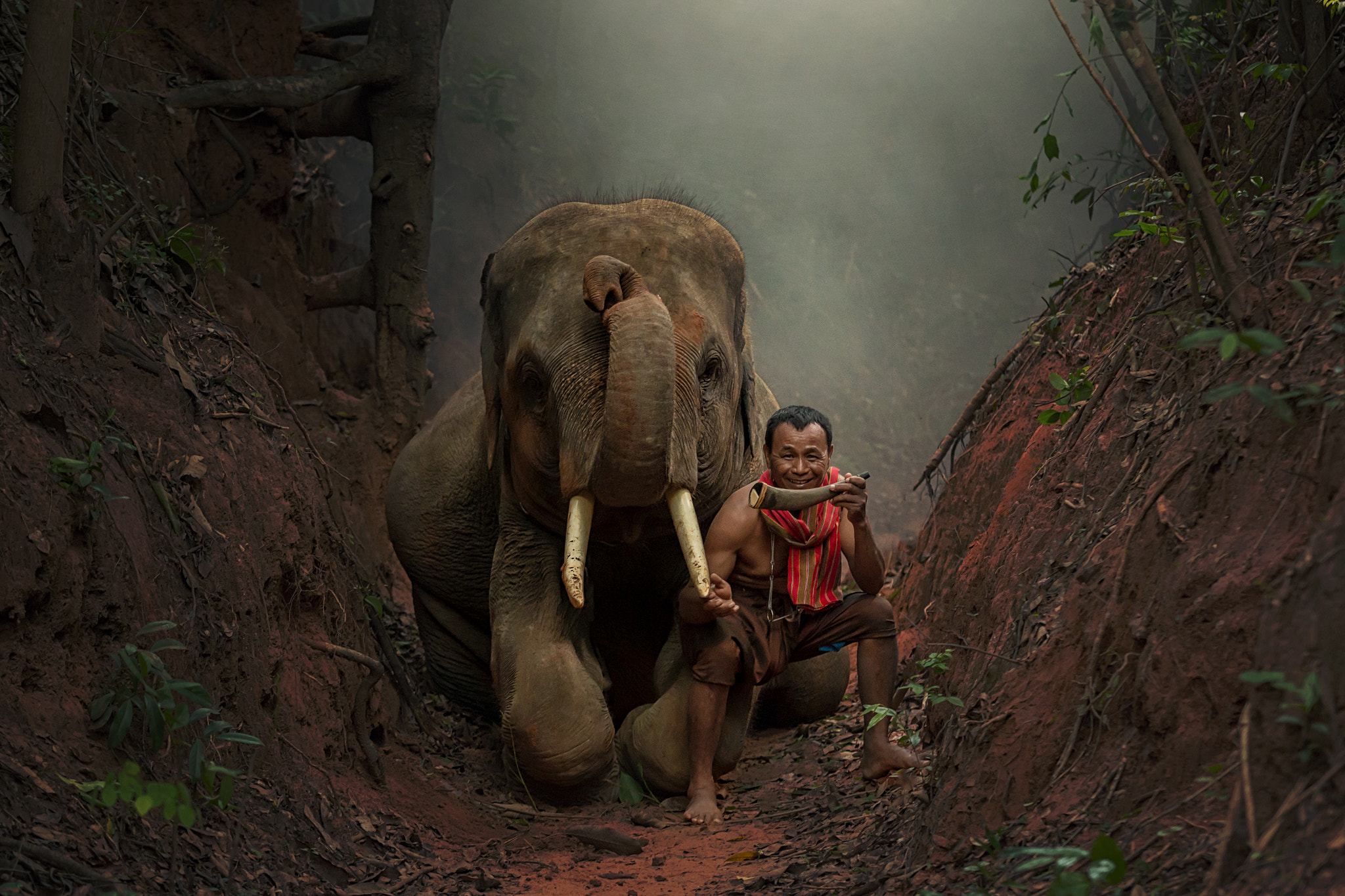 Sigma 70-200mm F2.8 EX DG OS HSM sample photo. Elephants with elephant mahout. photography