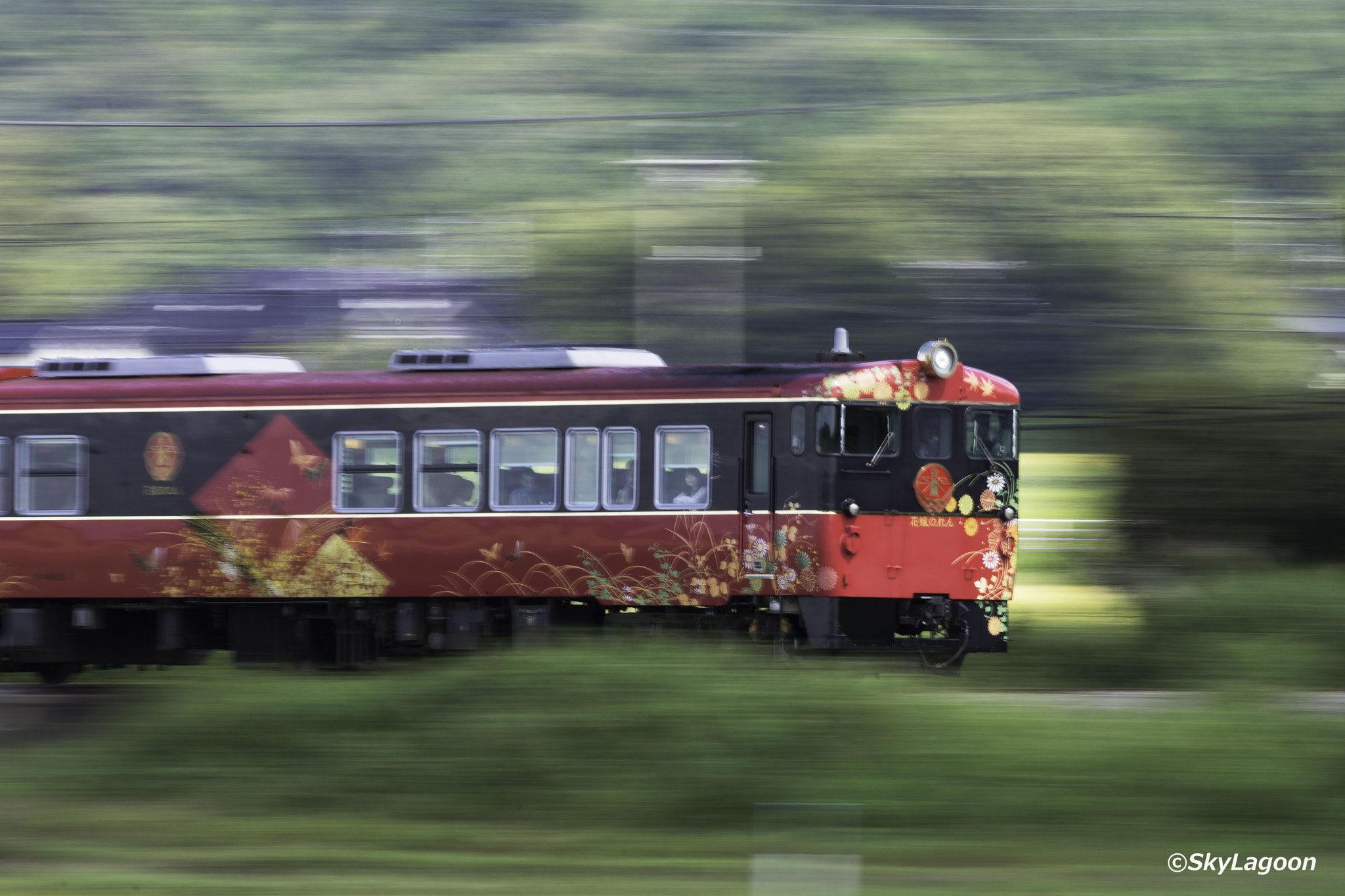 Nikon AF-S Nikkor 300mm F2.8G ED VR II sample photo. "hanayome noren" photography