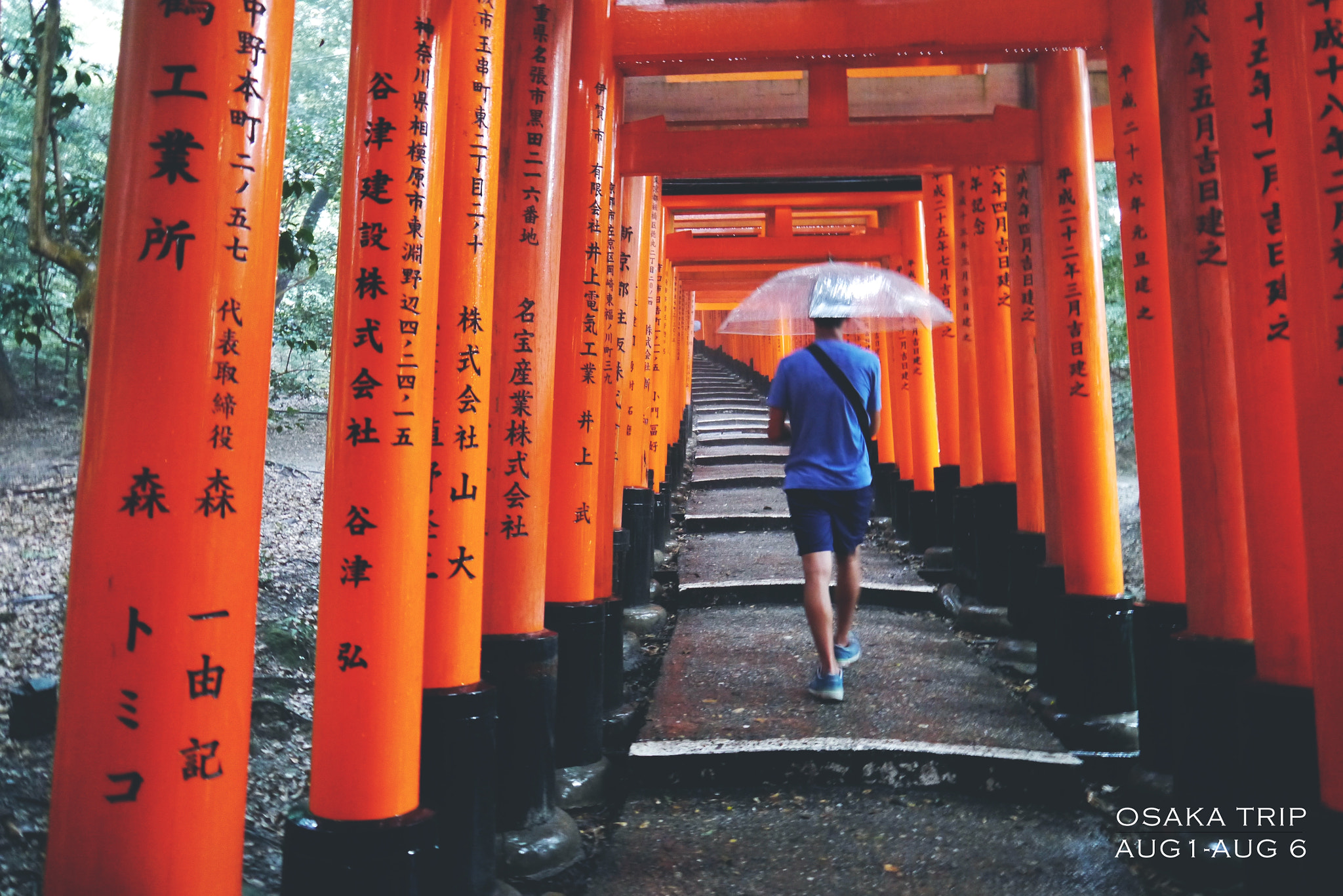 Panasonic Lumix DMC-GX1 sample photo. Kyoto ,temple photography