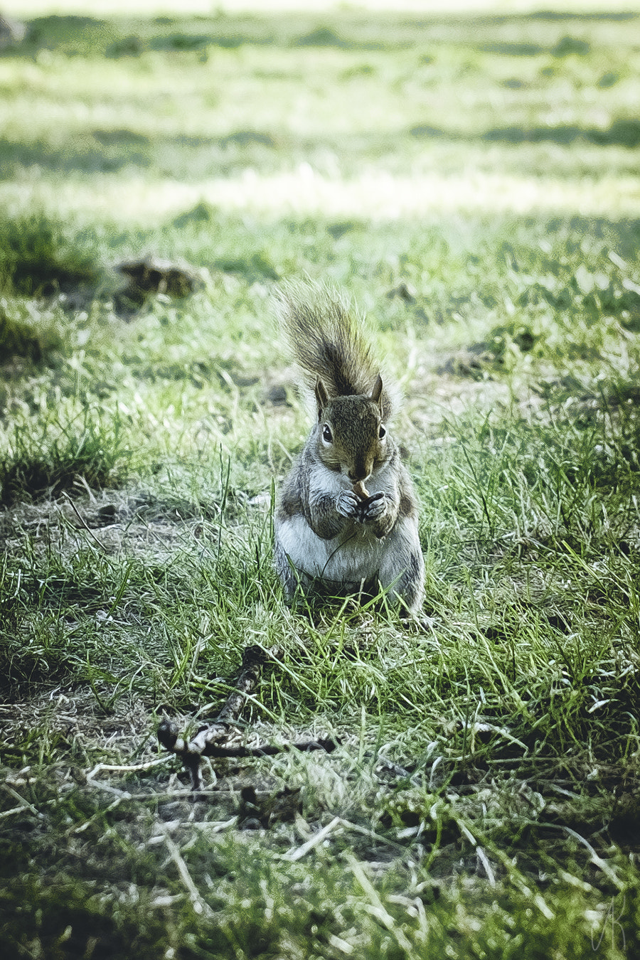 Fujifilm X-M1 + Fujifilm XF 35mm F1.4 R sample photo. Little friend photography