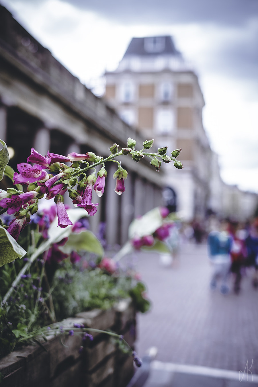 Fujifilm X-M1 + Fujifilm XF 35mm F1.4 R sample photo. Covent garden photography