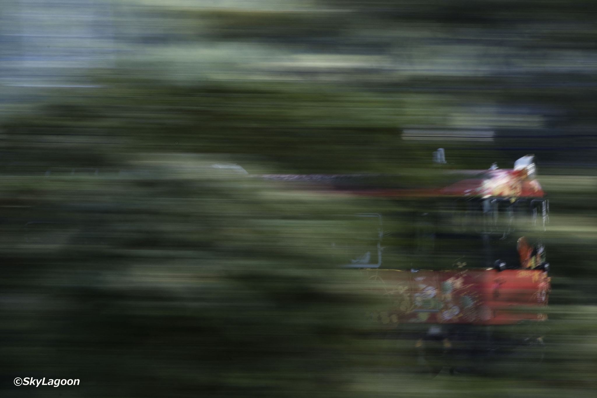 Nikon AF-S Nikkor 300mm F2.8G ED VR II sample photo. Late summer of wind photography