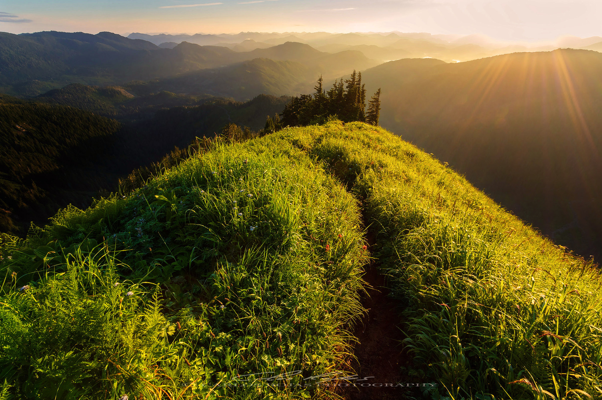 Pentax K-3 sample photo. Morning on the mountain photography