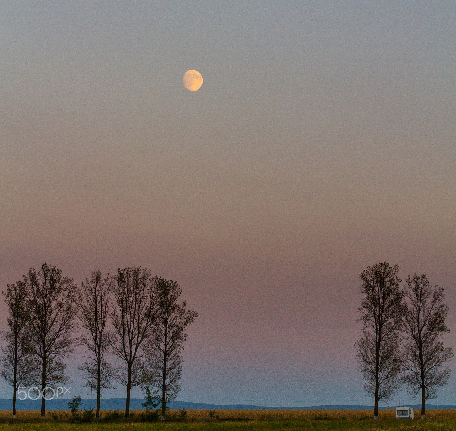 Sigma 70-200mm F2.8 EX DG OS HSM sample photo. At sunset photography