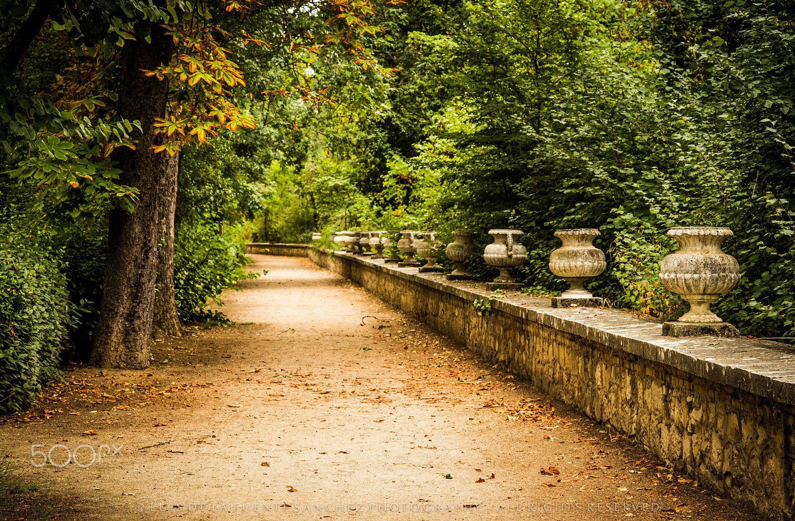 Leica APO-Summicron-M 90mm F2 ASPH sample photo. Jardines de aranjuez photography