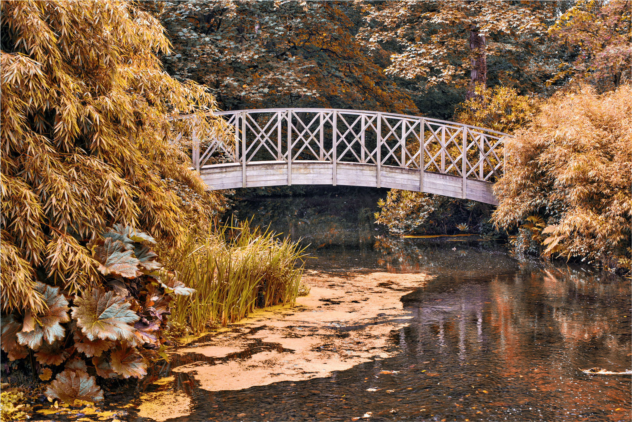 Nikon D810 + ZEISS Otus 55mm F1.4 sample photo. Autumn colours are coming photography