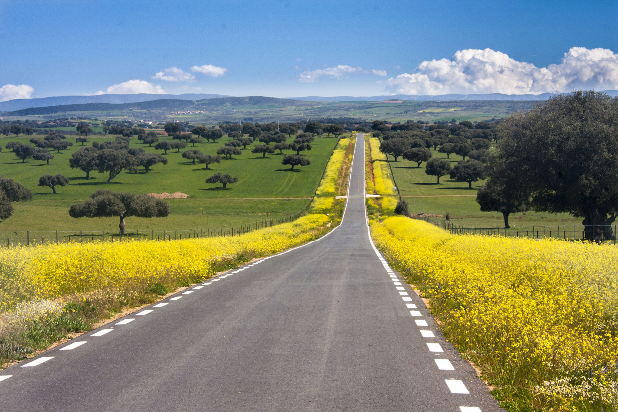 Canon EOS 40D sample photo. Carretera primaveral photography