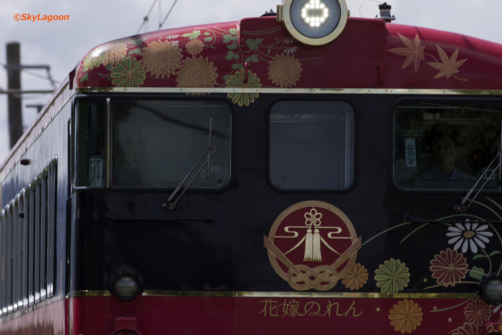 Nikon AF-S Nikkor 300mm F2.8G ED VR II sample photo. Limited express "hanayome noren" photography