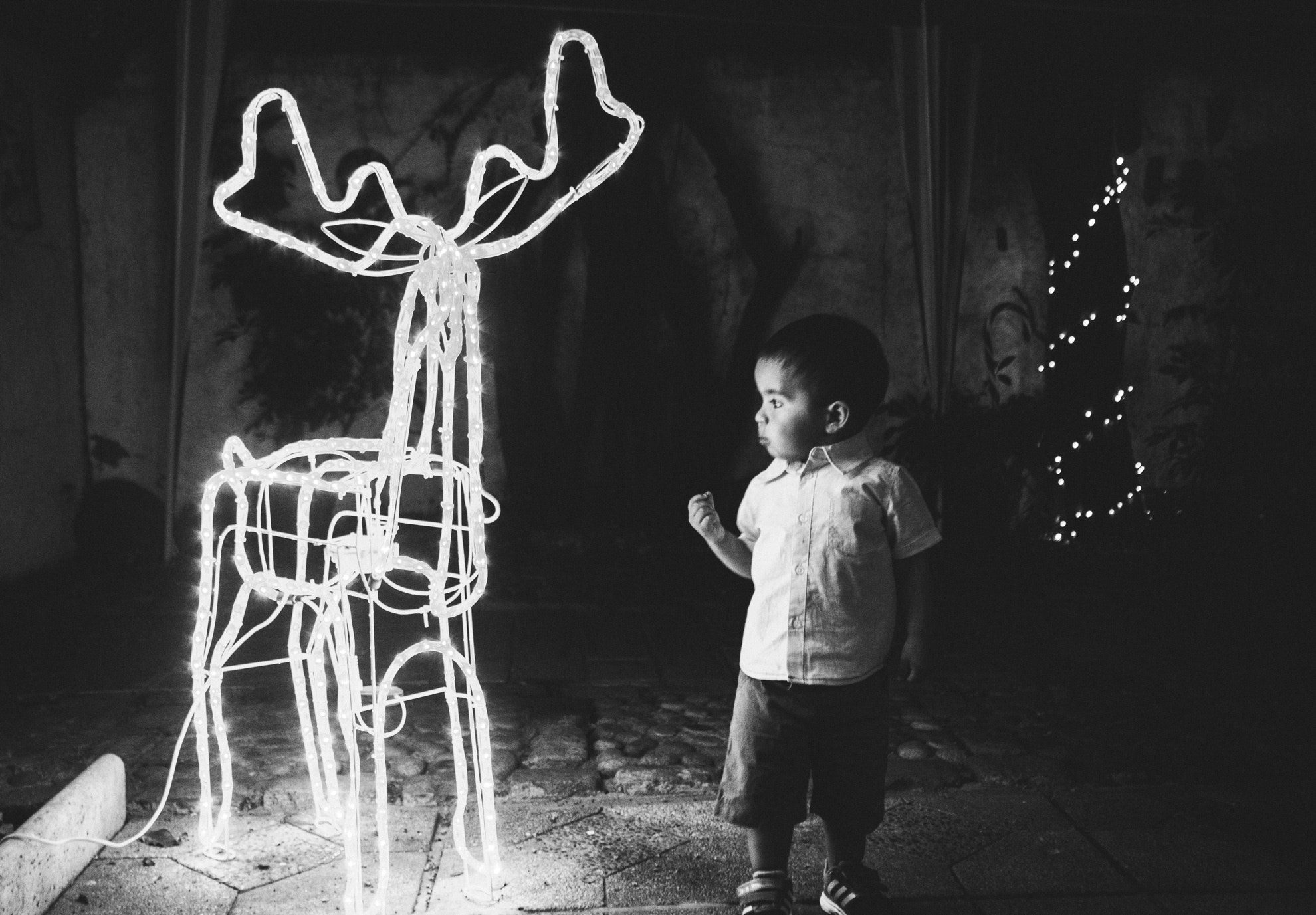 Nikon D7100 + Sigma 24mm F2.8 Super Wide II Macro sample photo. Navidad de renato photography