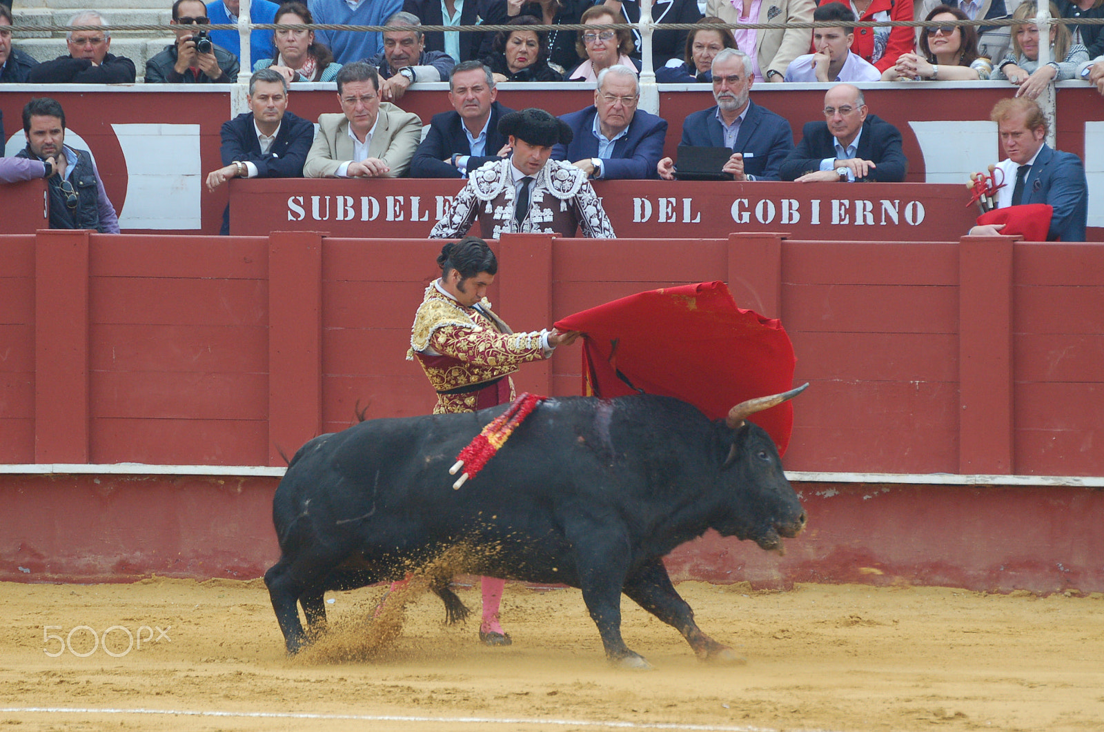 Sigma APO 170-500mm F5-6.3 Aspherical RF sample photo. Tauromaquia, toreo españa photography