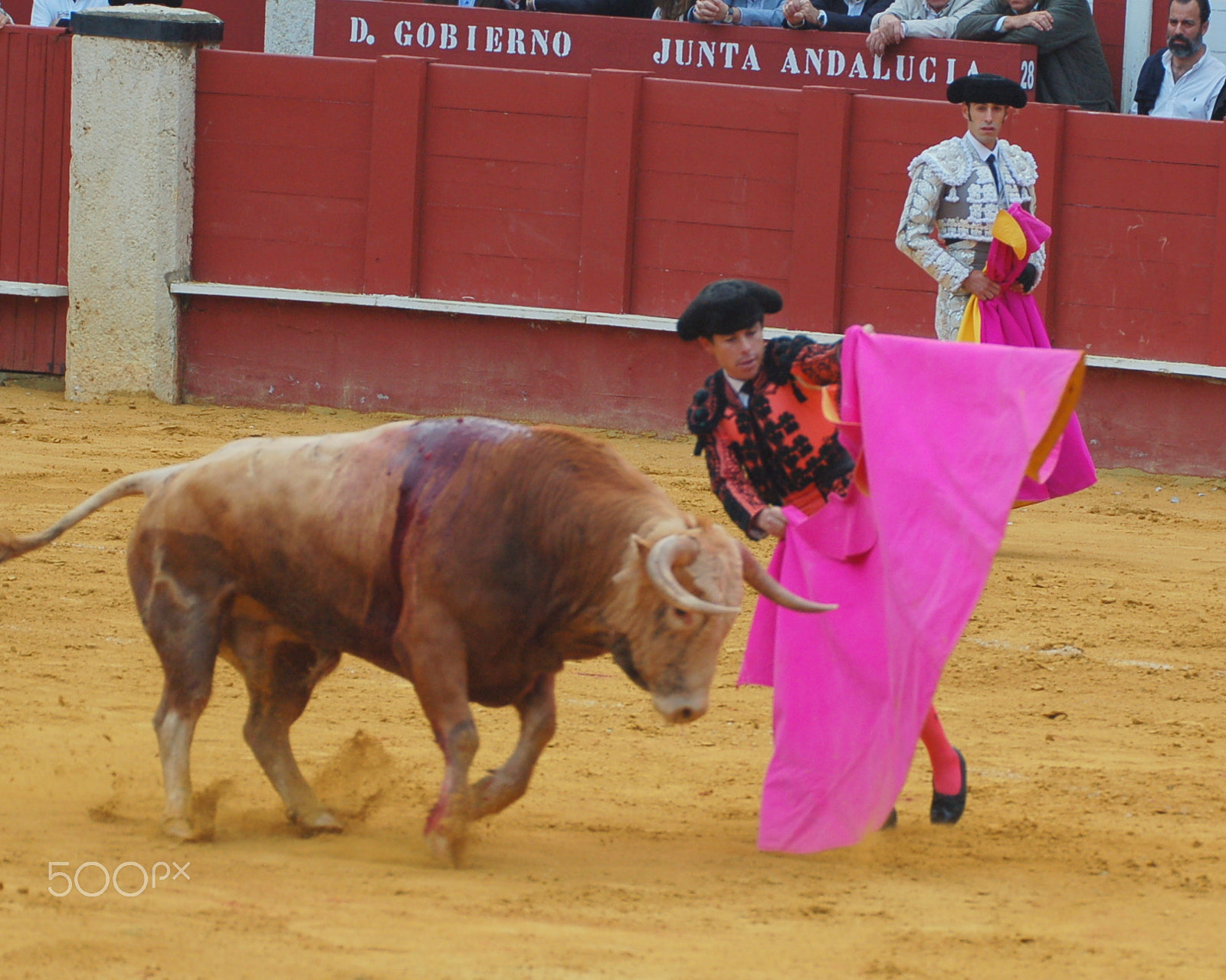 Sigma APO 170-500mm F5-6.3 Aspherical RF sample photo. Tauromaquia, toreo españa photography