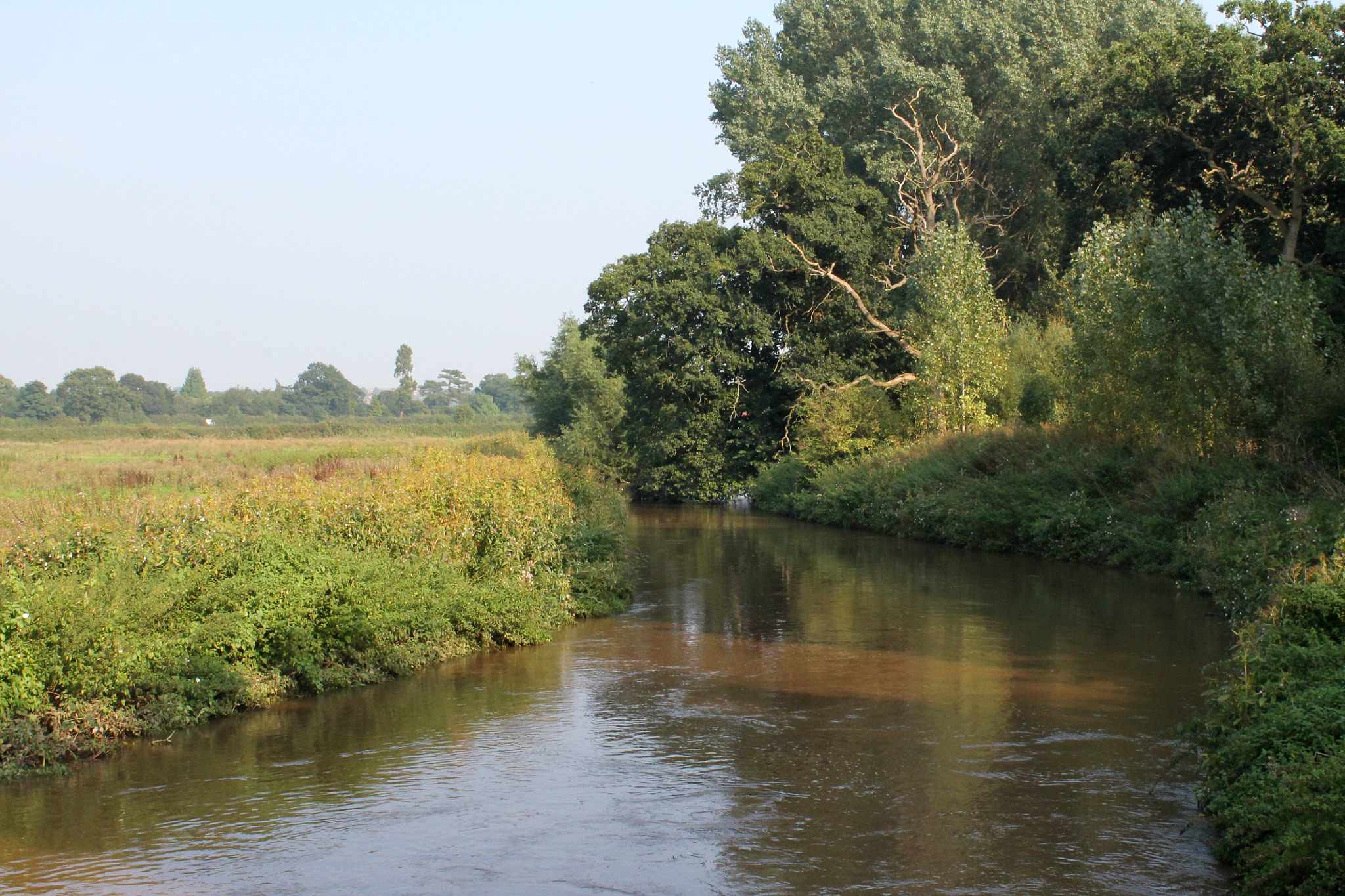 Canon EF-S 18-55mm F3.5-5.6 III sample photo. River trent transporting yesterday's deluge to be recycled once more in the sea photography