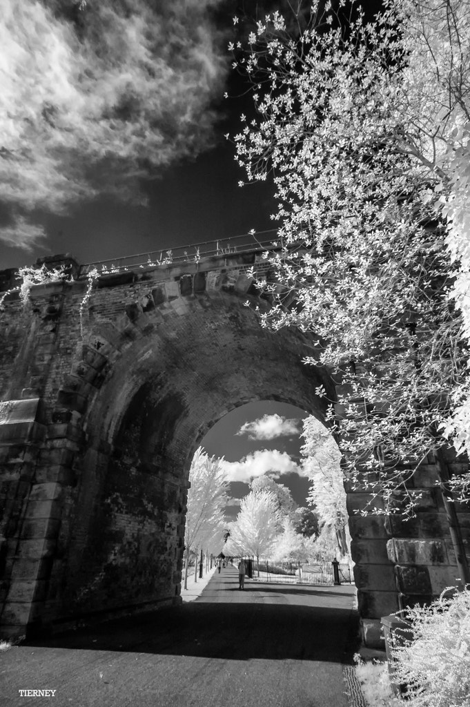 Nikon D70 sample photo. Under the arch photography
