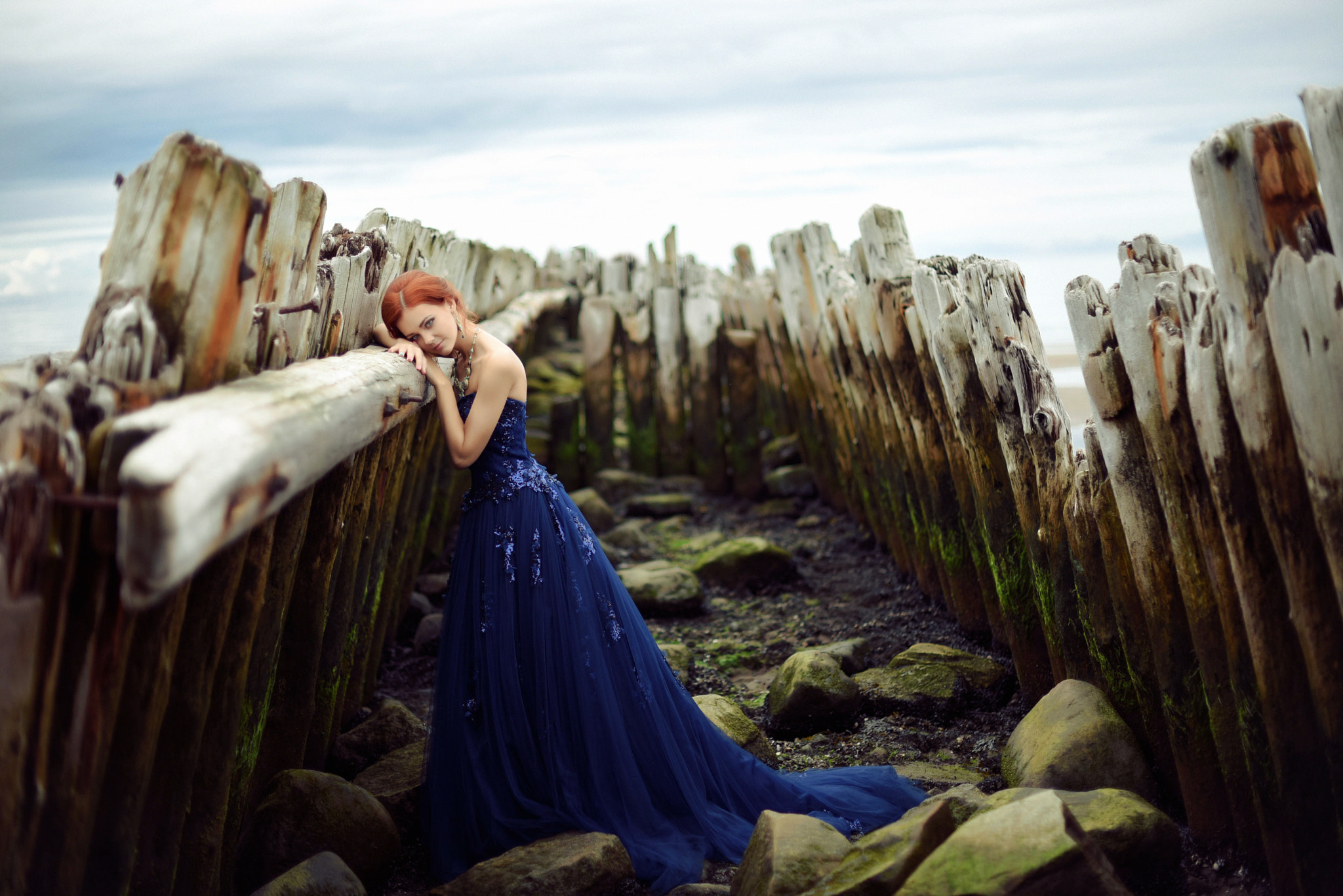 Nikon D750 + Sigma 50mm F1.4 EX DG HSM sample photo. Kate photography