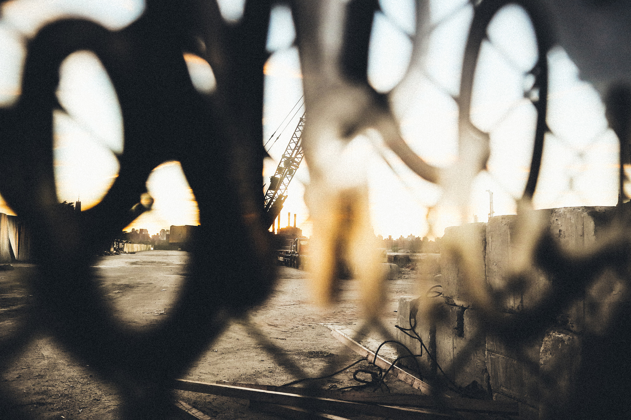 Canon EF 24mm F1.4L II USM sample photo. Ua photography