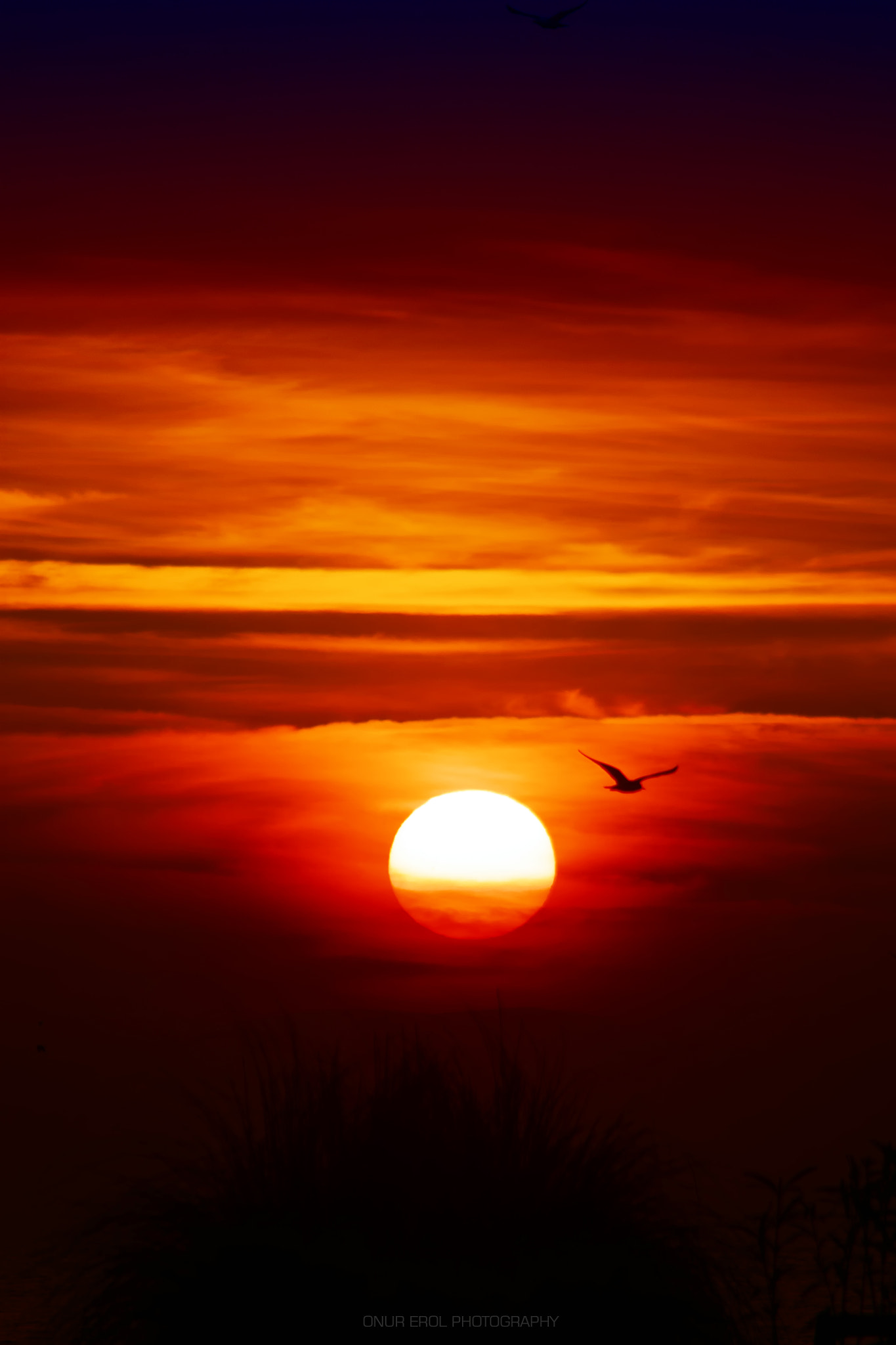 Canon EF 75-300mm f/4-5.6 USM sample photo. Sunset photography