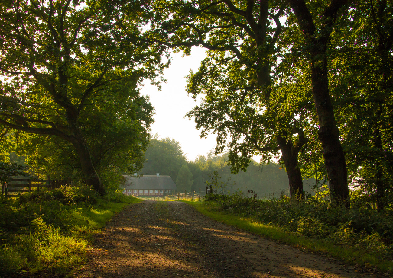 Canon EF-S 17-85mm F4-5.6 IS USM sample photo. Old farm house photography