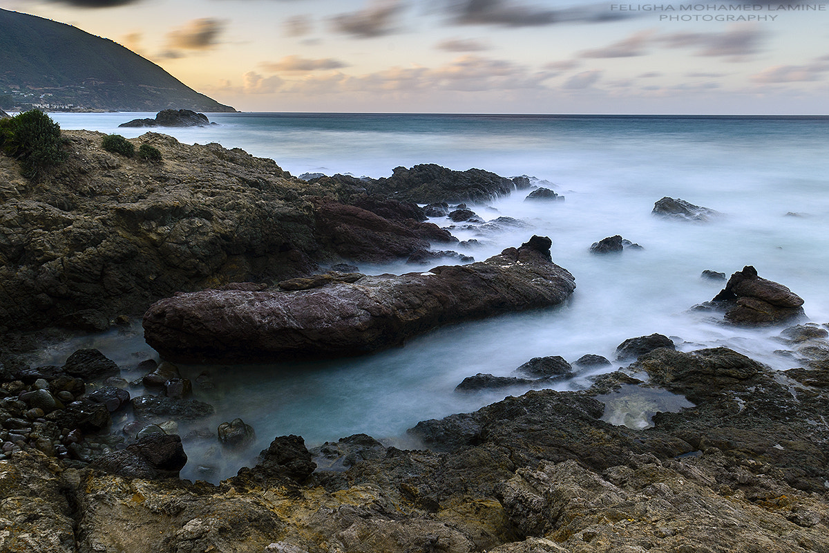 Sigma 18-50mm F2.8-4.5 DC OS HSM sample photo. Tamanart photography