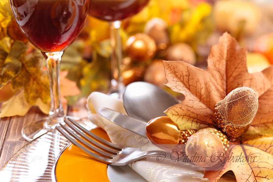 Canon TS-E 90mm F2.8 Tilt-Shift sample photo. Thanksgiving dinner decoration. photography