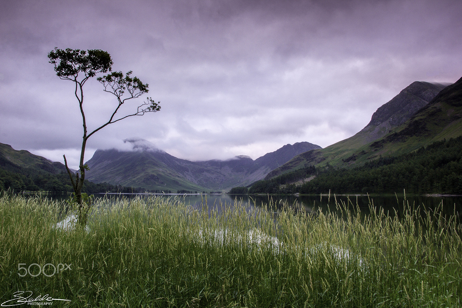 Sigma 18-125mm F3.8-5.6 DC OS HSM sample photo. The lone tree - buttermere photography
