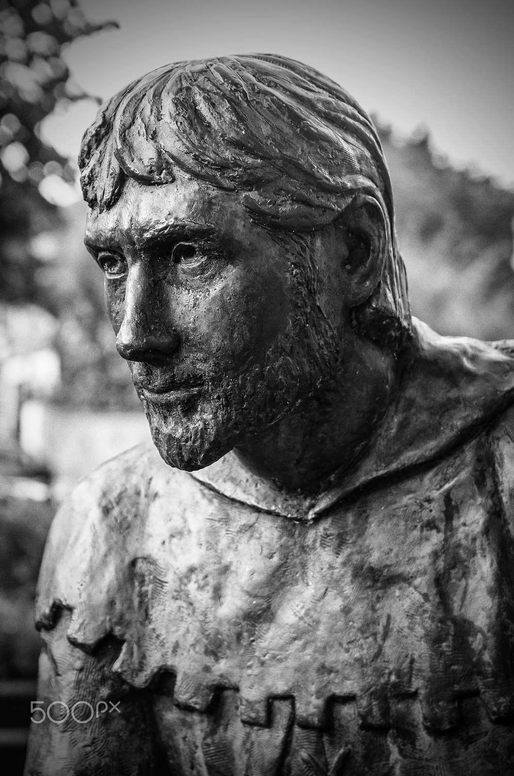 Sigma 17-50mm F2.8 EX DC HSM sample photo. Uk - robin hood photography