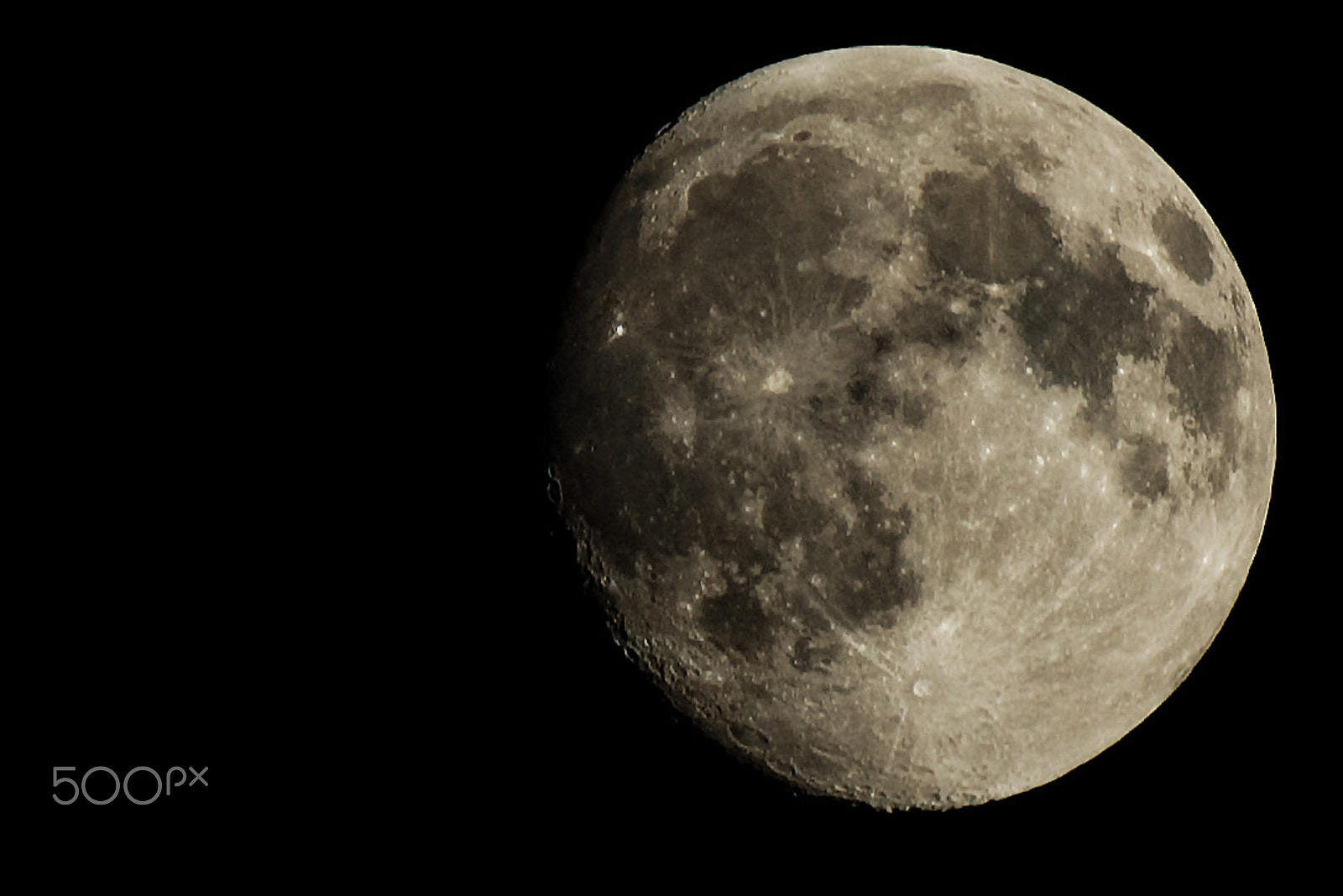 Nikon D600 sample photo. Almost full photography