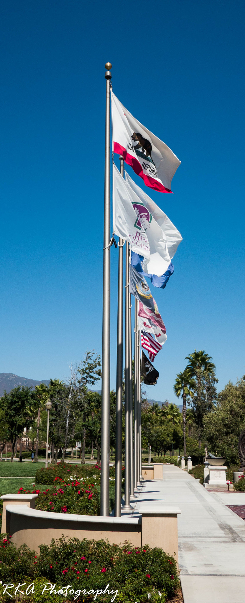Panasonic Lumix G Vario 7-14mm F4 ASPH sample photo. Flags photography