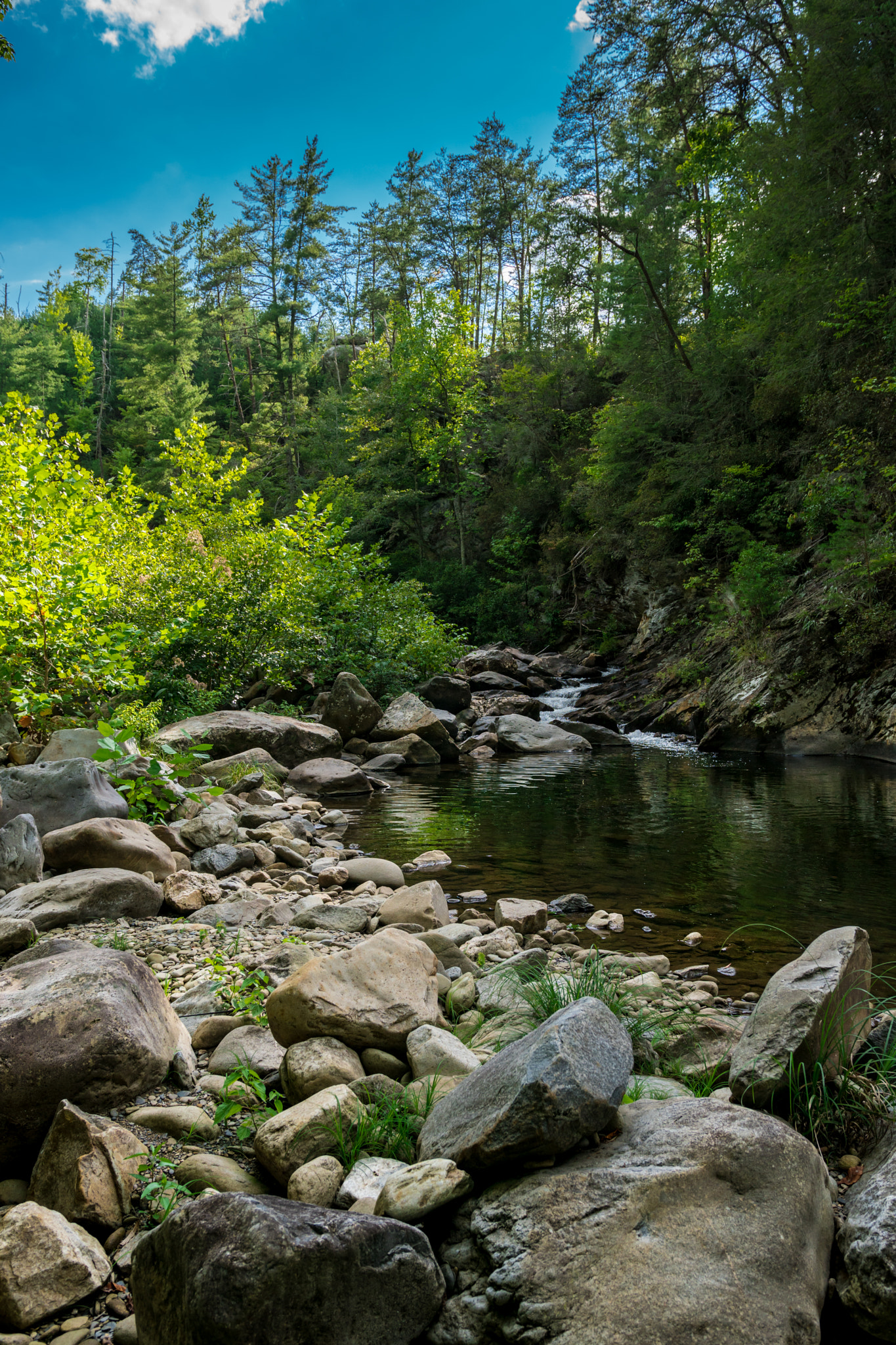 Sony a6300 + 18-35mm F1.8 DC HSM | Art 013 sample photo. By the river photography