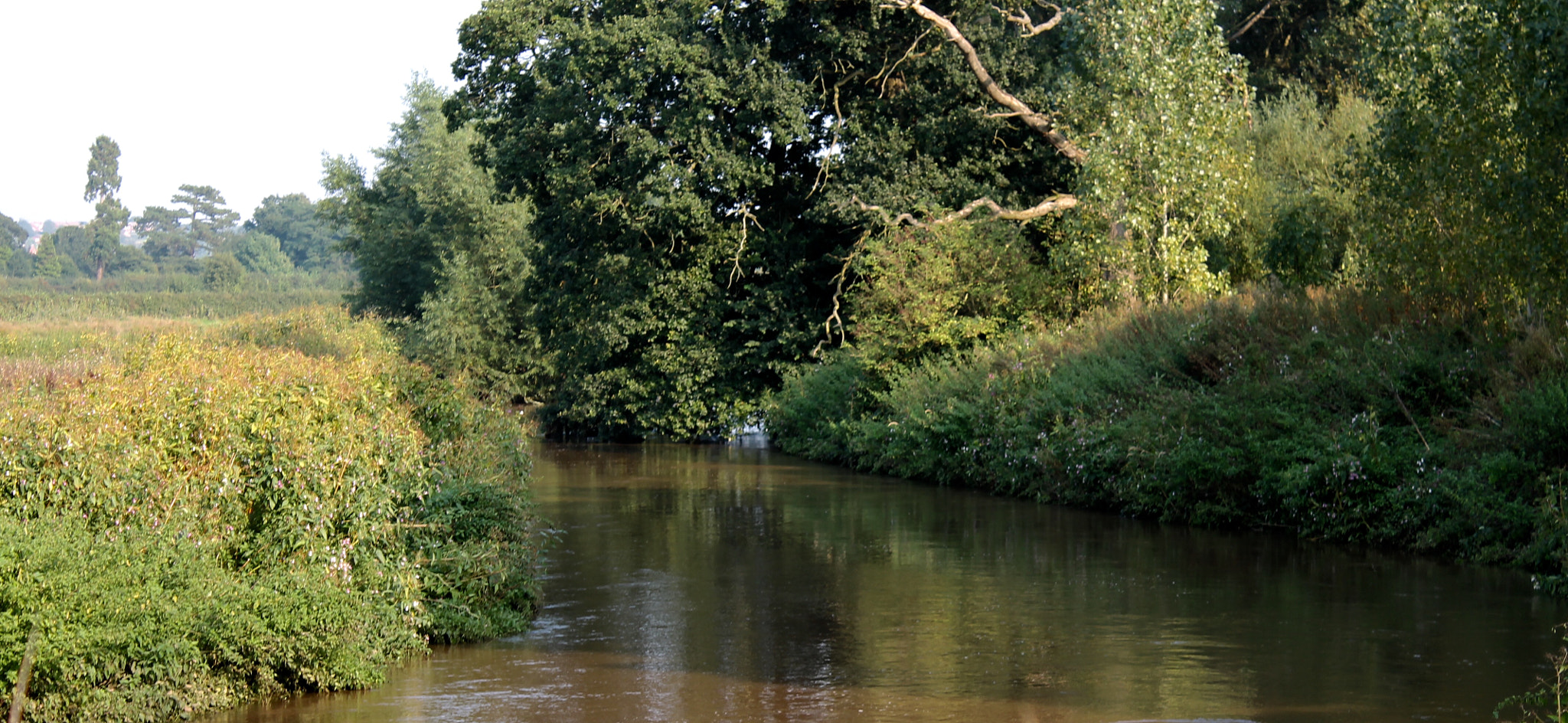 Canon EOS 1100D (EOS Rebel T3 / EOS Kiss X50) + Canon EF-S 18-55mm F3.5-5.6 III sample photo. River trent rising after yesterday's thunderstorms photography