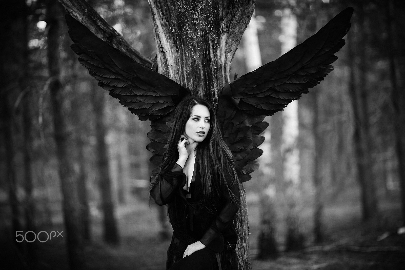 Canon EOS 5D Mark II + Canon EF 85mm F1.2 sample photo. Black angel in the forest photography