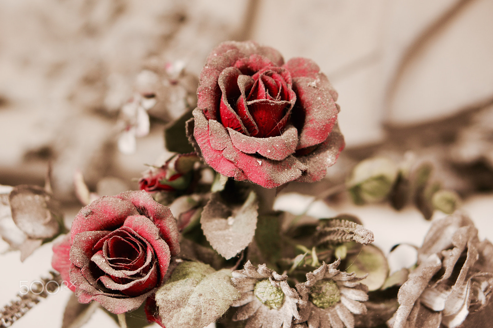 Sony Alpha NEX-7 + E 50mm F1.8 OSS sample photo. Roses in dust photography