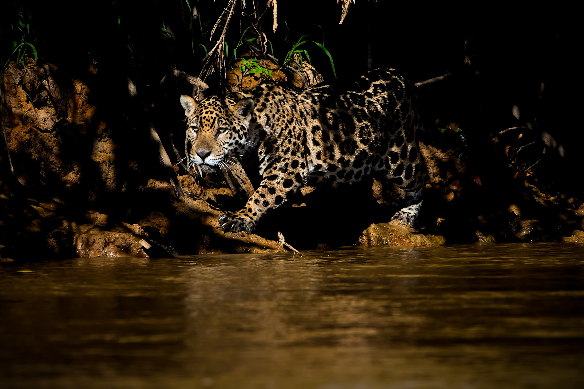 AF Zoom-Nikkor 35-80mm f/4-5.6D N sample photo. Shadow photography