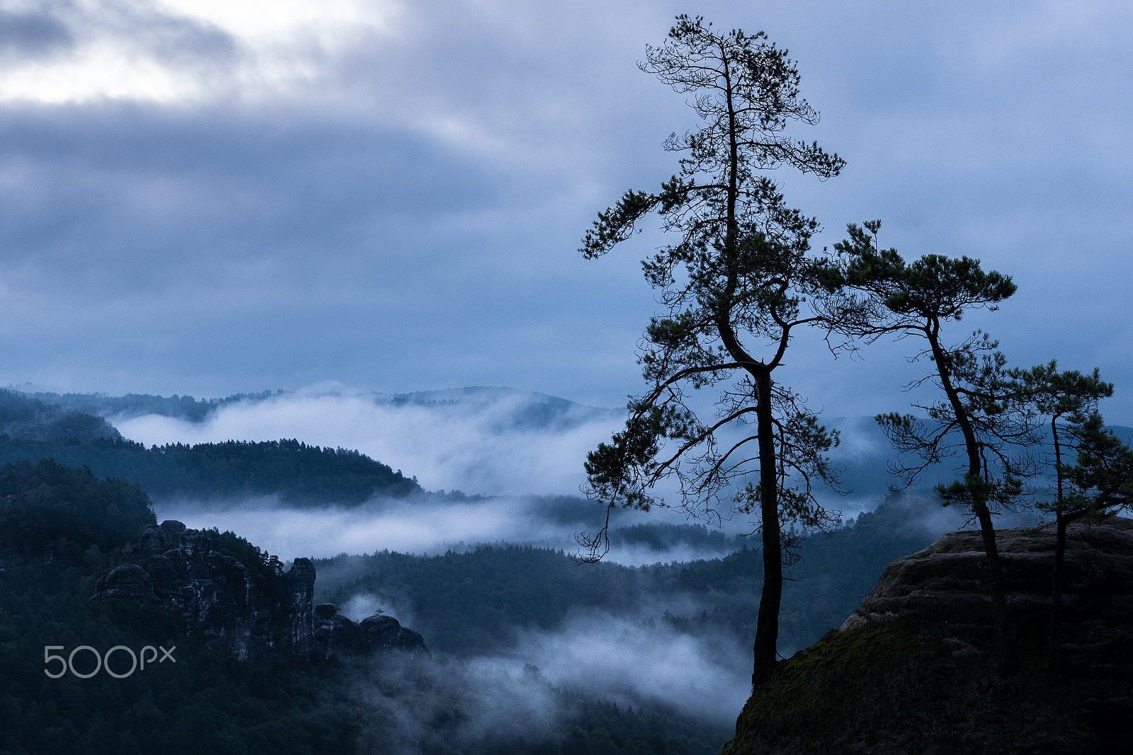 Panasonic Lumix DMC-GX7 sample photo. Nebelmeer photography