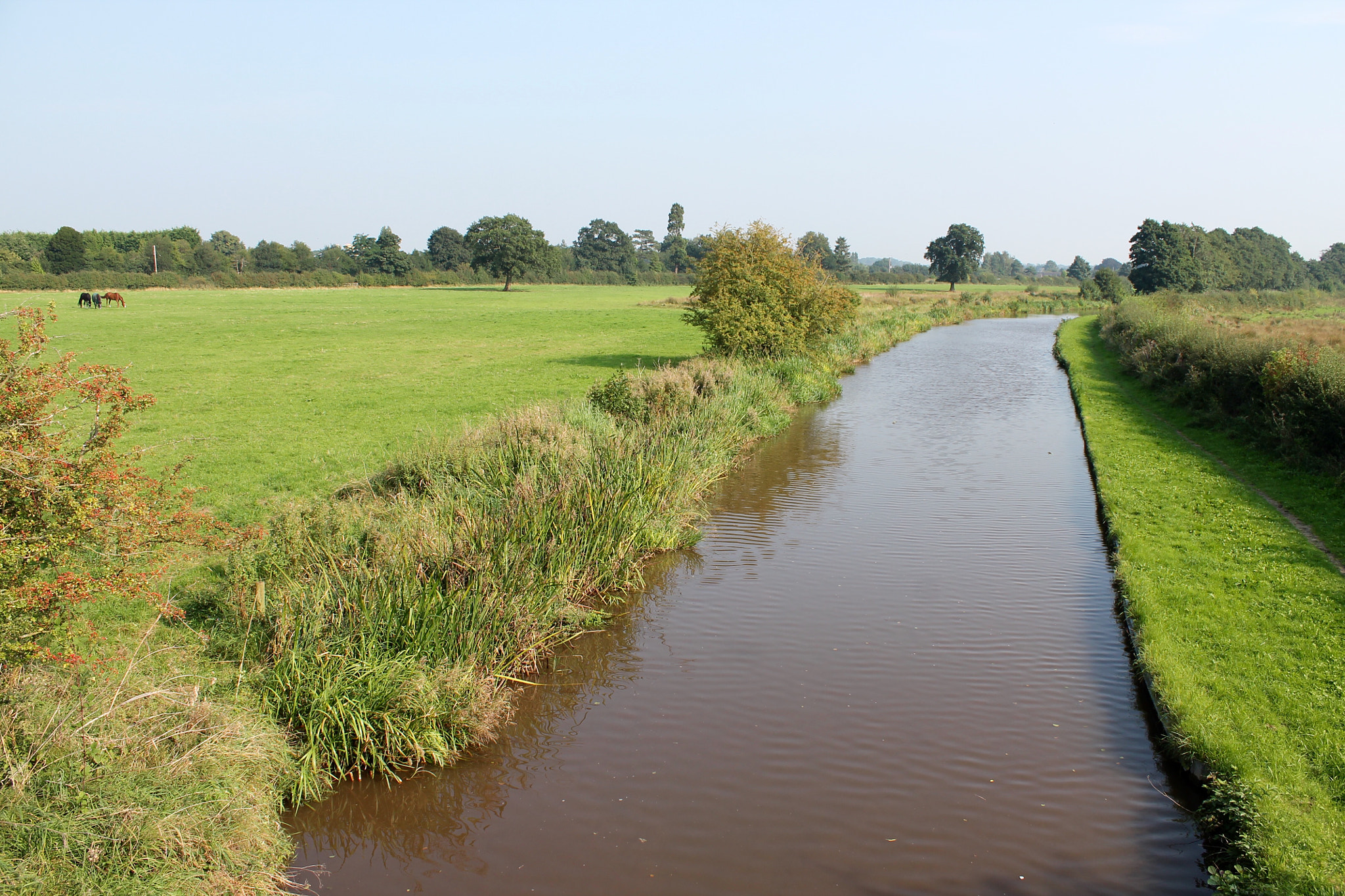 Canon EOS 1100D (EOS Rebel T3 / EOS Kiss X50) + Canon EF-S 18-55mm F3.5-5.6 III sample photo. Manicured tow path on trent & mersey canal photography