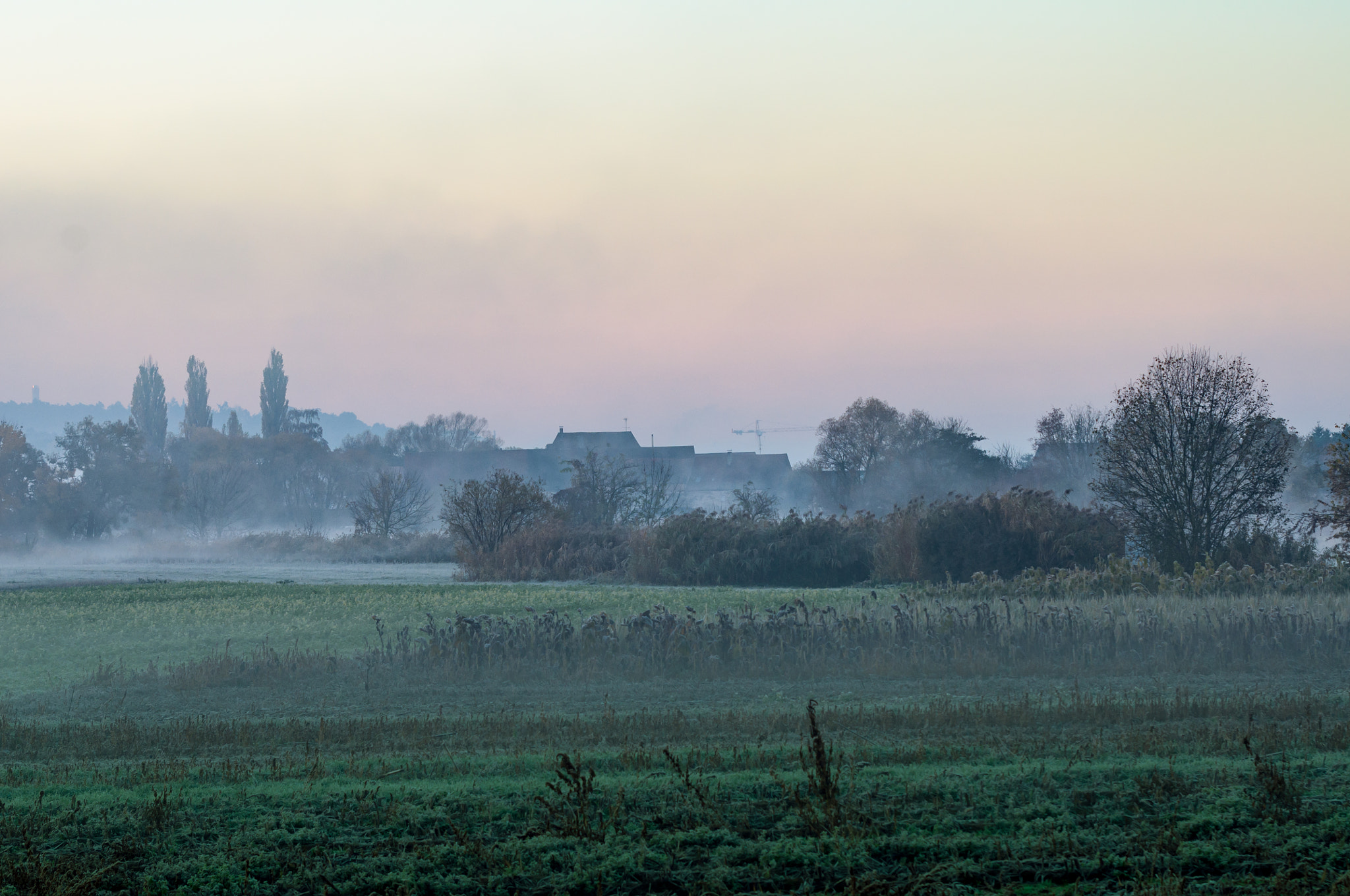 Sigma 70-200mm F2.8 EX DG Macro HSM II sample photo. Morning has broken photography