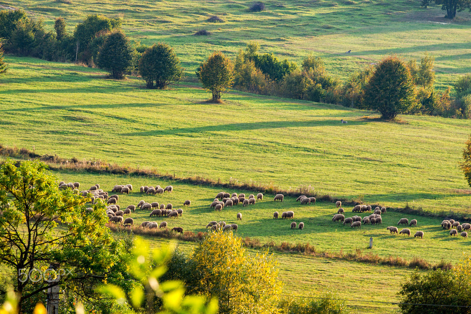 Nikon D800 + Nikon AF-S Nikkor 300mm F4D ED-IF sample photo. Transylvanian landscape photography