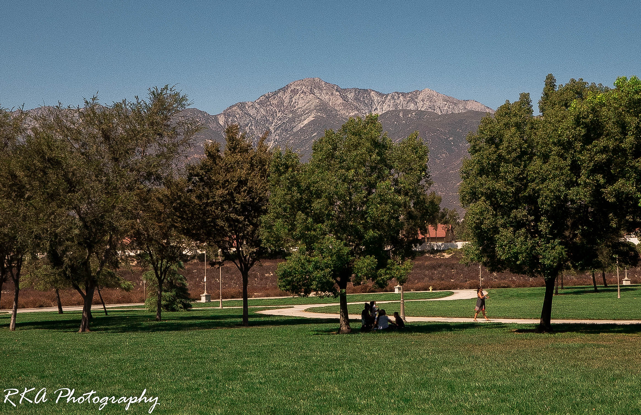 Panasonic Lumix G Vario 7-14mm F4 ASPH sample photo. Warm day in the park photography