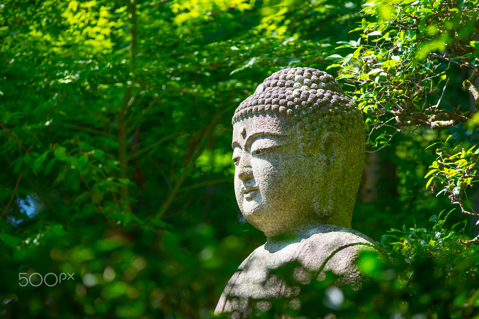 Canon EF 70-200mm F2.8L IS II USM sample photo. Serenity photography