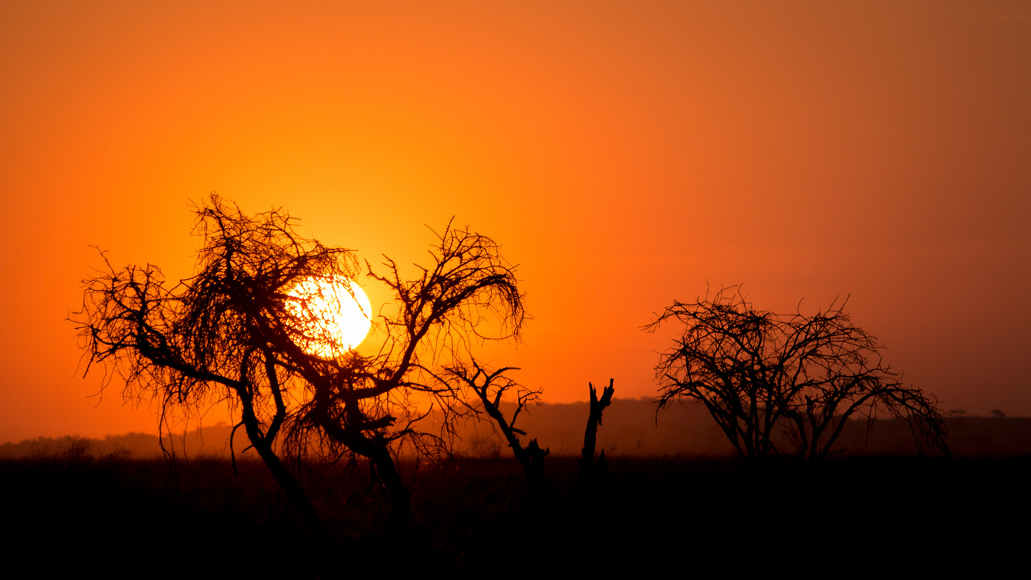 Canon EF 100-400mm F4.5-5.6L IS USM sample photo. Sunset@serengeti photography