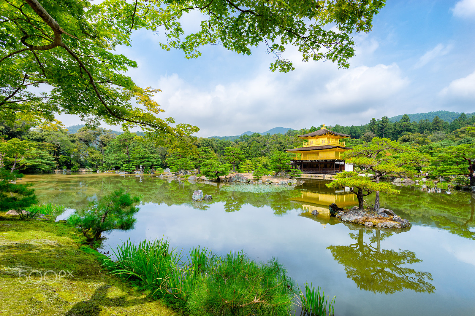 Sony a7 II + Canon EF 17-40mm F4L USM sample photo. Kinkakuji golden pagoda in a buddish temple from kyoto photography