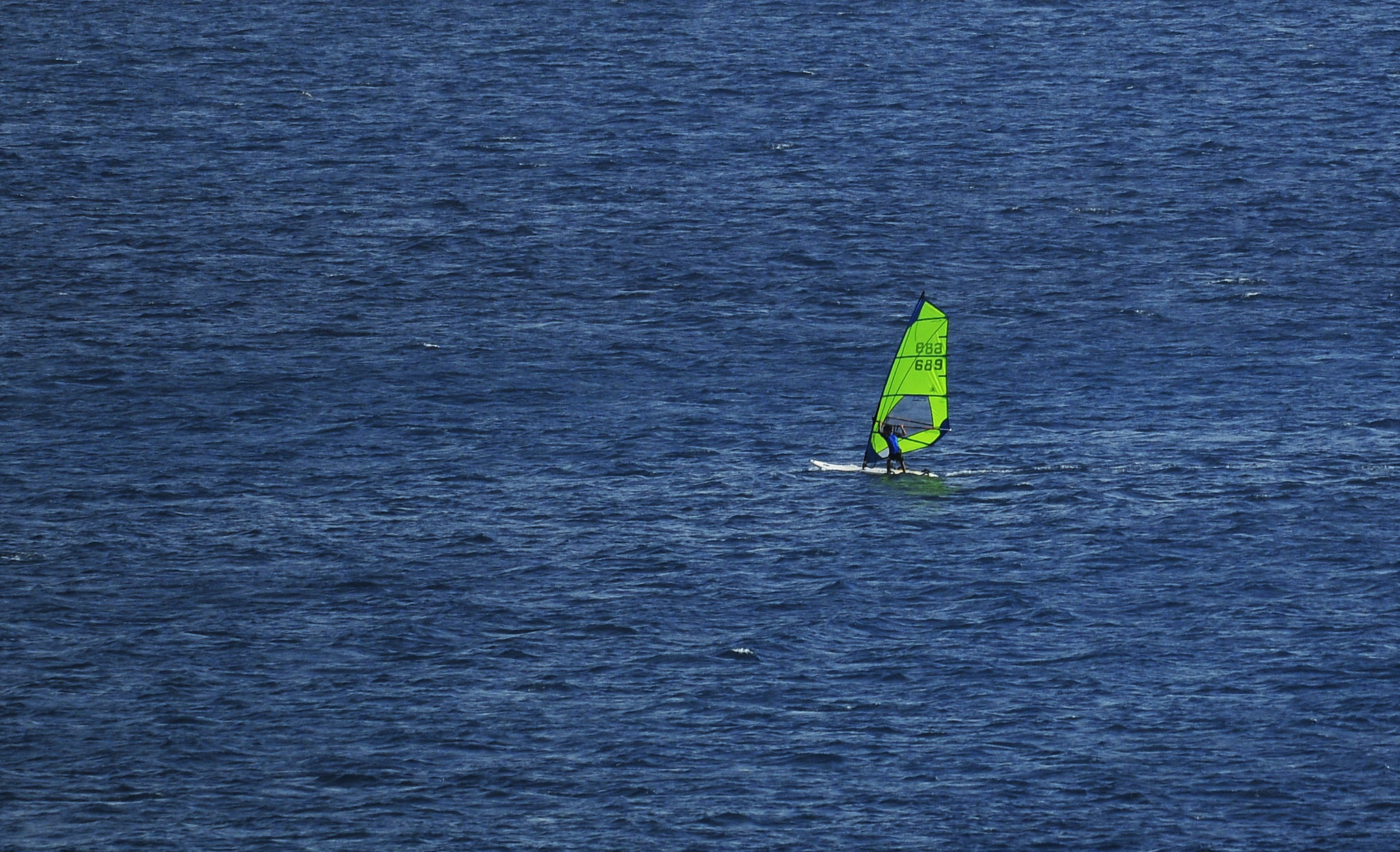 Nikon D300 + Nikon AF-S Nikkor 300mm F4D ED-IF sample photo. Dsc photography